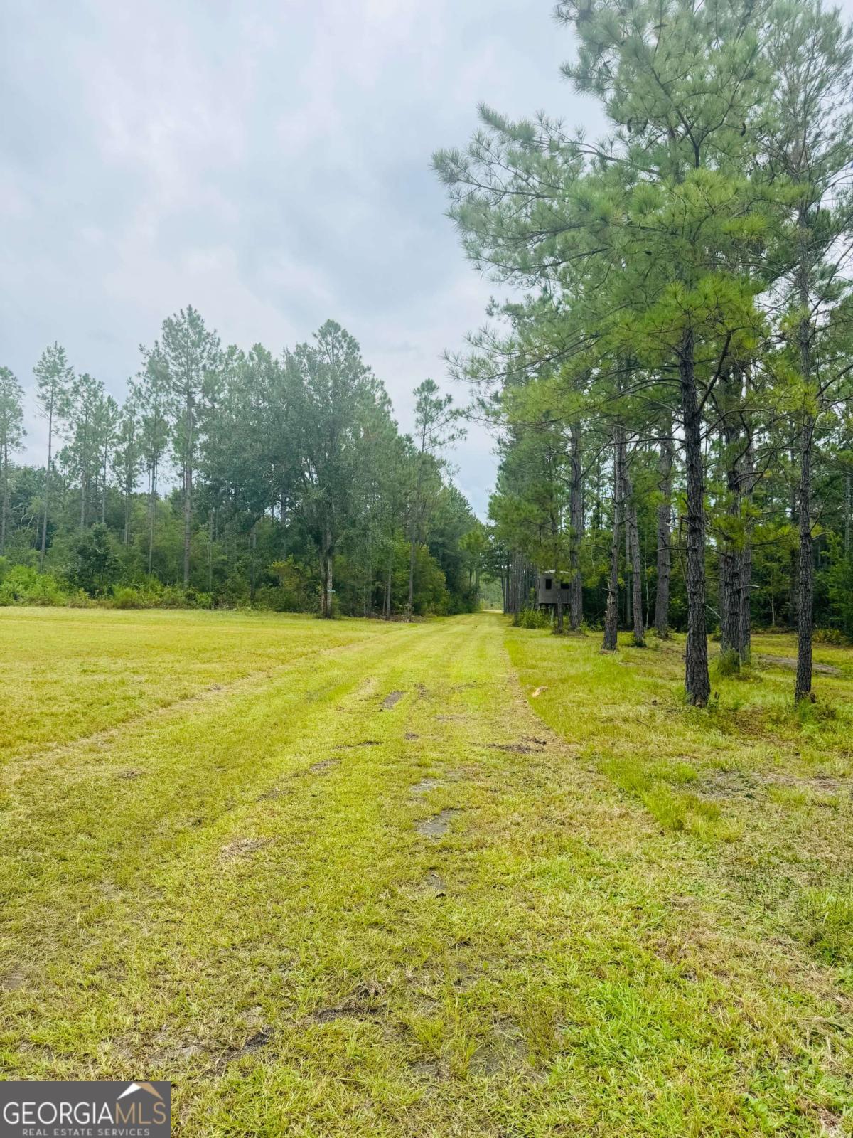 1603 Dl Durrence Road Reidsville, GA 30453 - Photo 28 of 78 a view of a swimming pool with a yard
