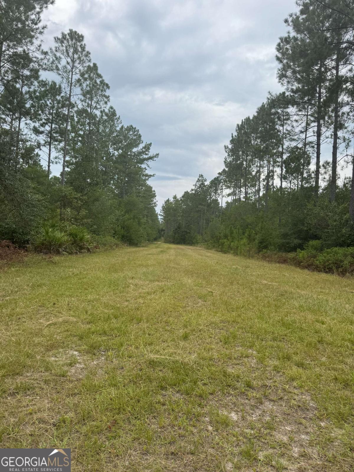 1603 Dl Durrence Road Reidsville, GA 30453 - Photo 29 of 78