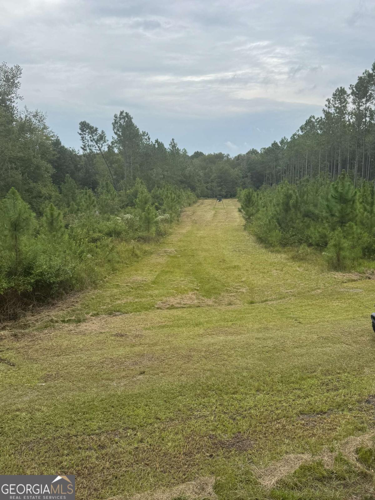 1603 Dl Durrence Road Reidsville, GA 30453 - Photo 30 of 78