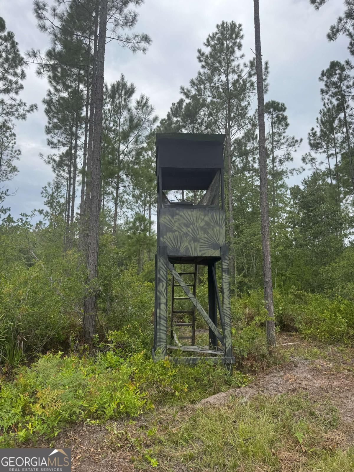 1603 Dl Durrence Road Reidsville, GA 30453 - Photo 31 of 78 a view of a bench in the forest