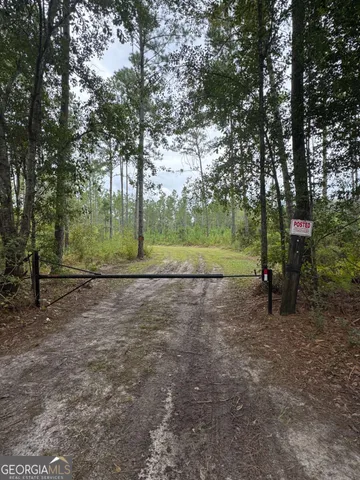 a view of a yard with plants and trees
