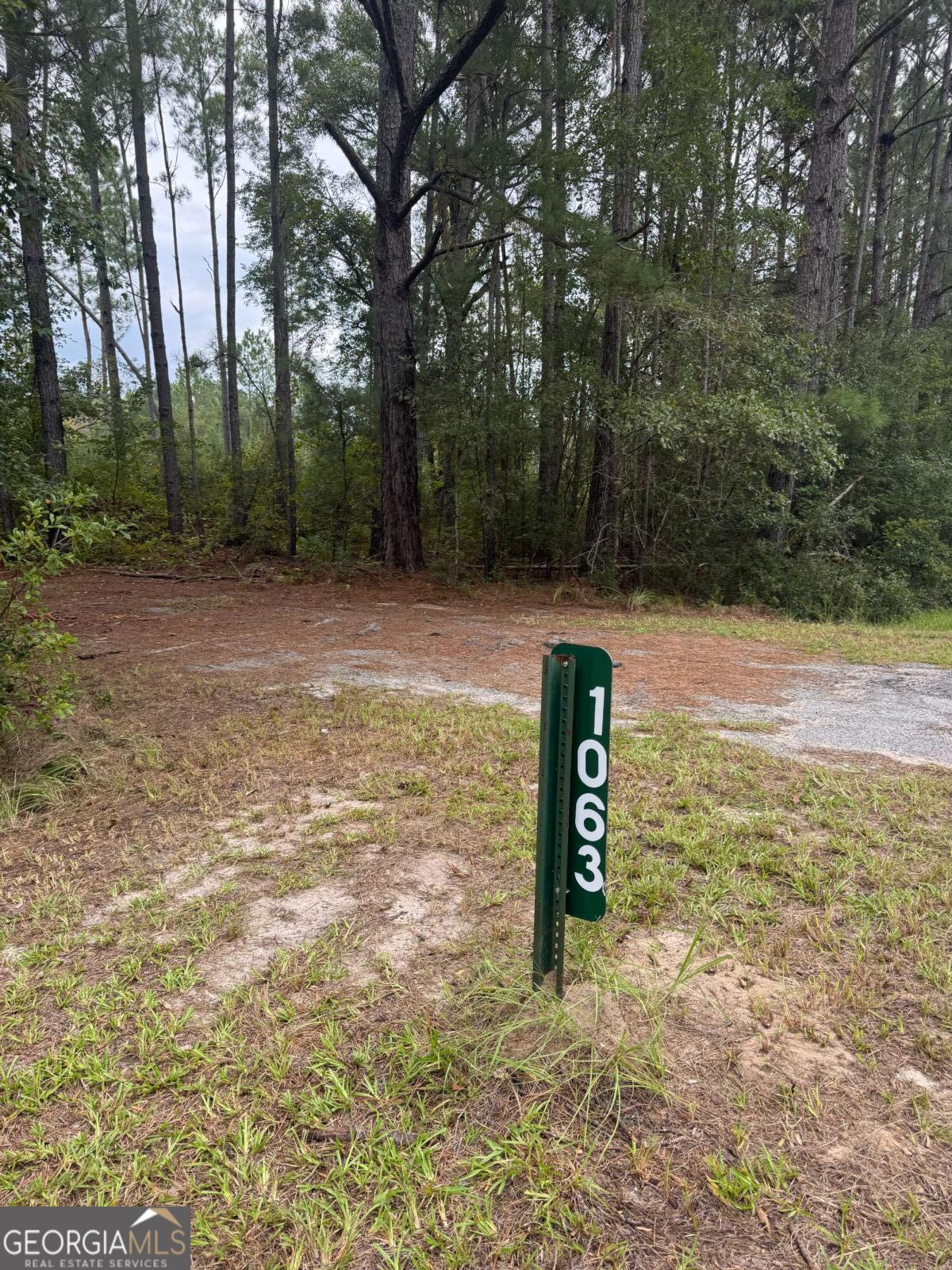 1603 Dl Durrence Road Reidsville, GA 30453 - Photo 33 of 78