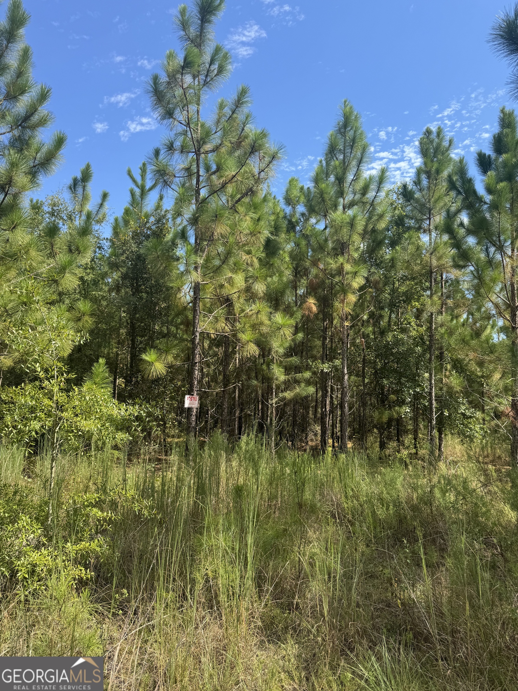 1603 Dl Durrence Road Reidsville, GA 30453 - Photo 35 of 78