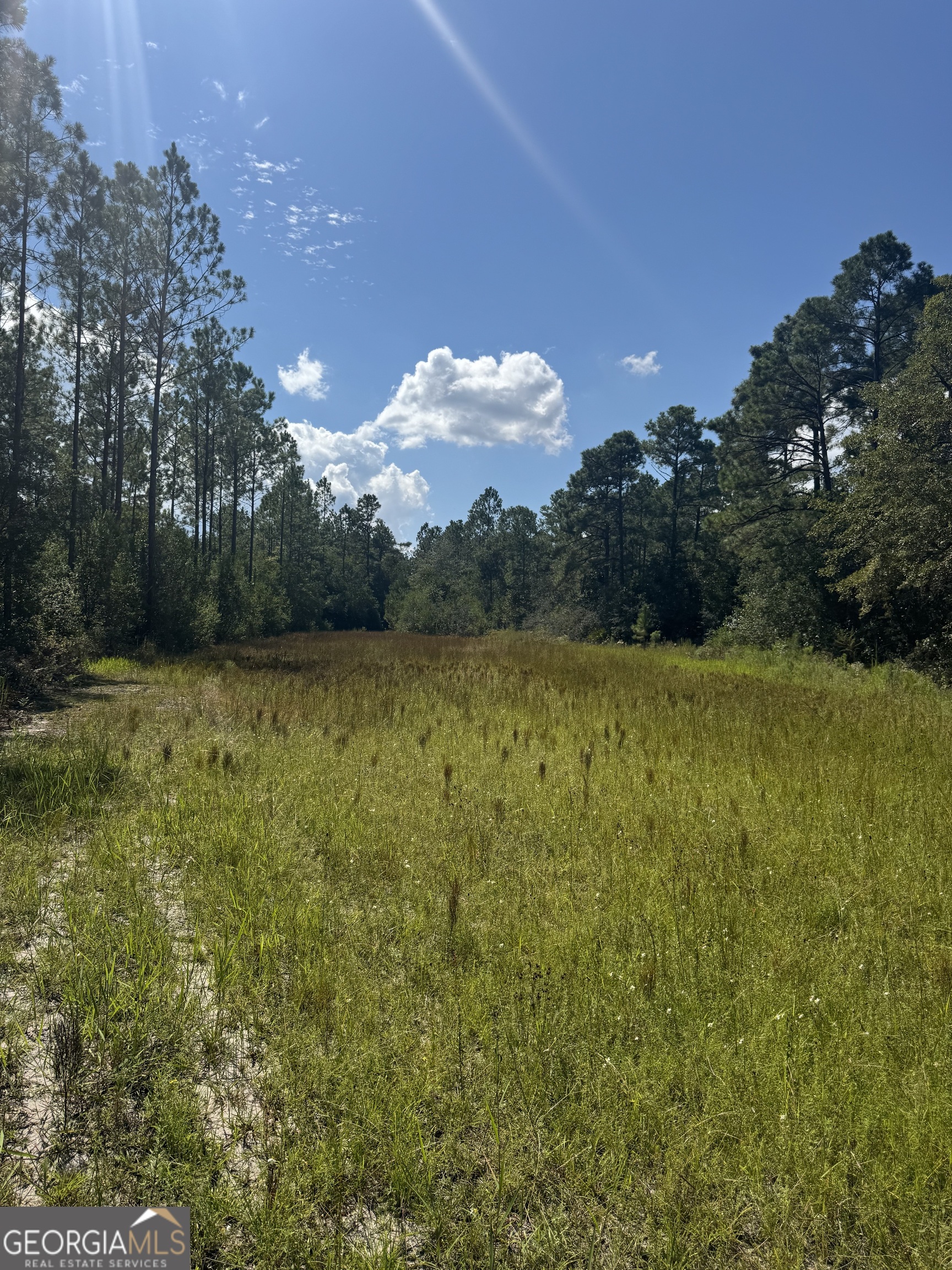 1603 Dl Durrence Road Reidsville, GA 30453 - Photo 37 of 78 a view of a lake from a yard