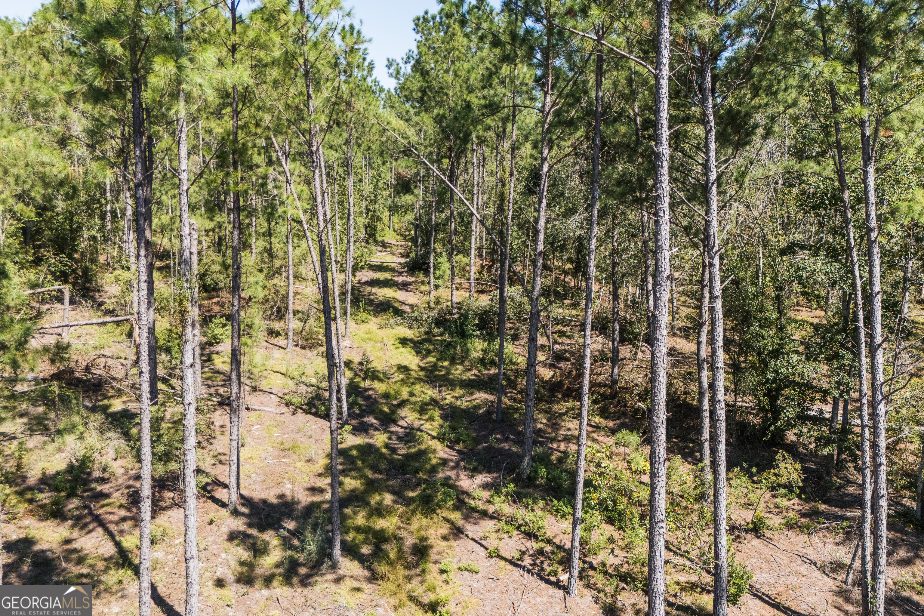 1603 Dl Durrence Road Reidsville, GA 30453 - Photo 39 of 78