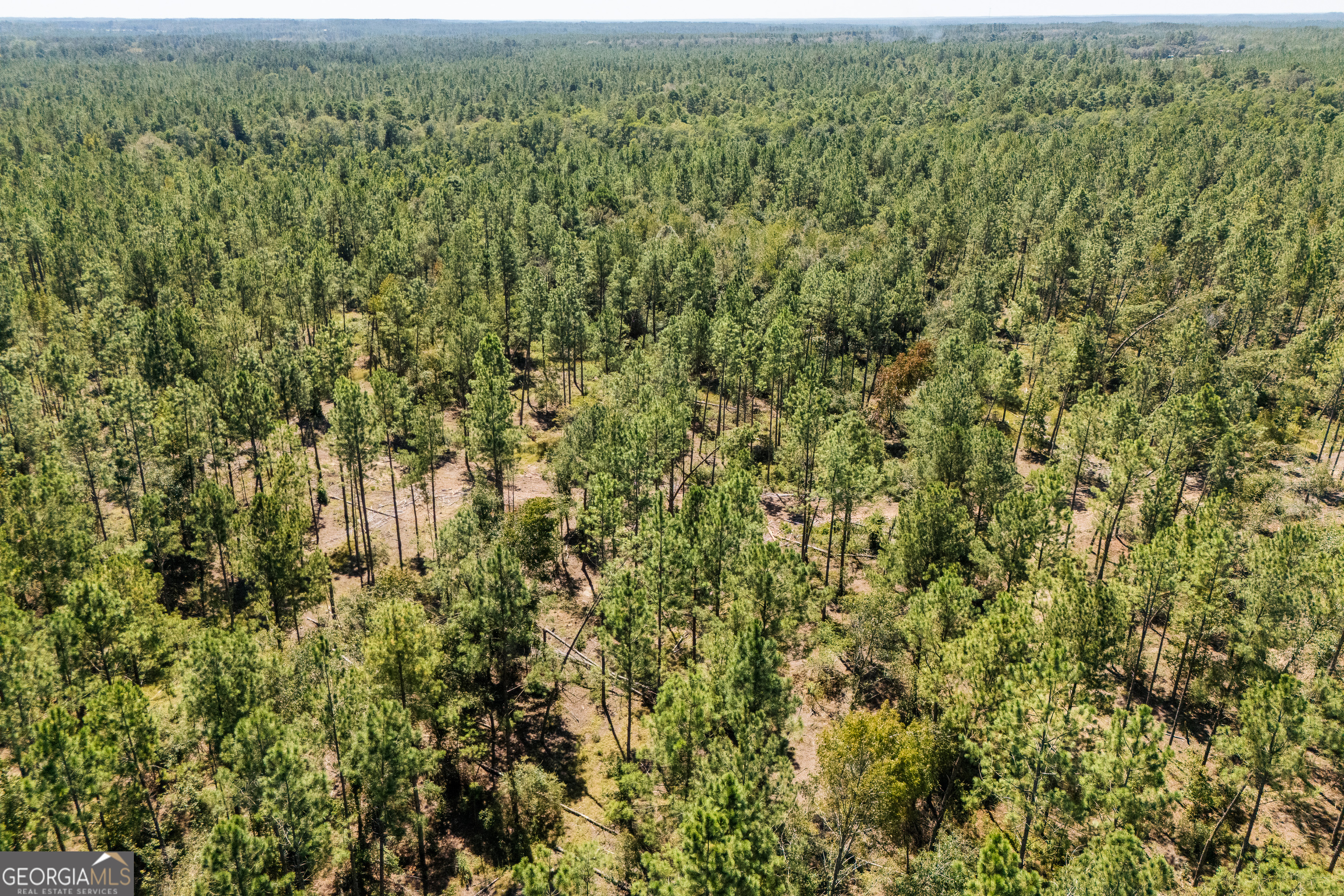1603 Dl Durrence Road Reidsville, GA 30453 - Photo 41 of 78 an aerial view of residential house with outdoor space
