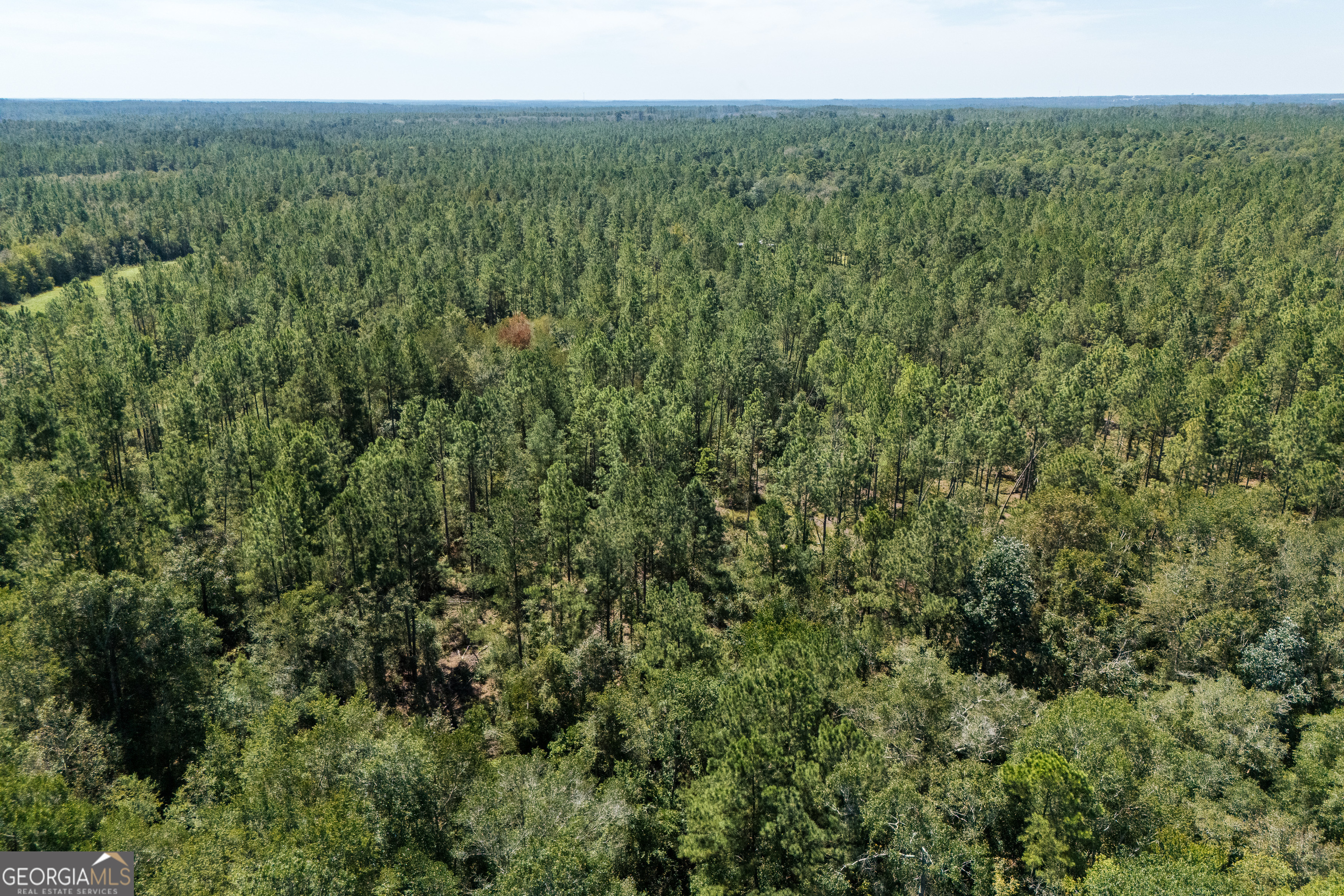 1603 Dl Durrence Road Reidsville, GA 30453 - Photo 42 of 78 a view of a field of grass and trees