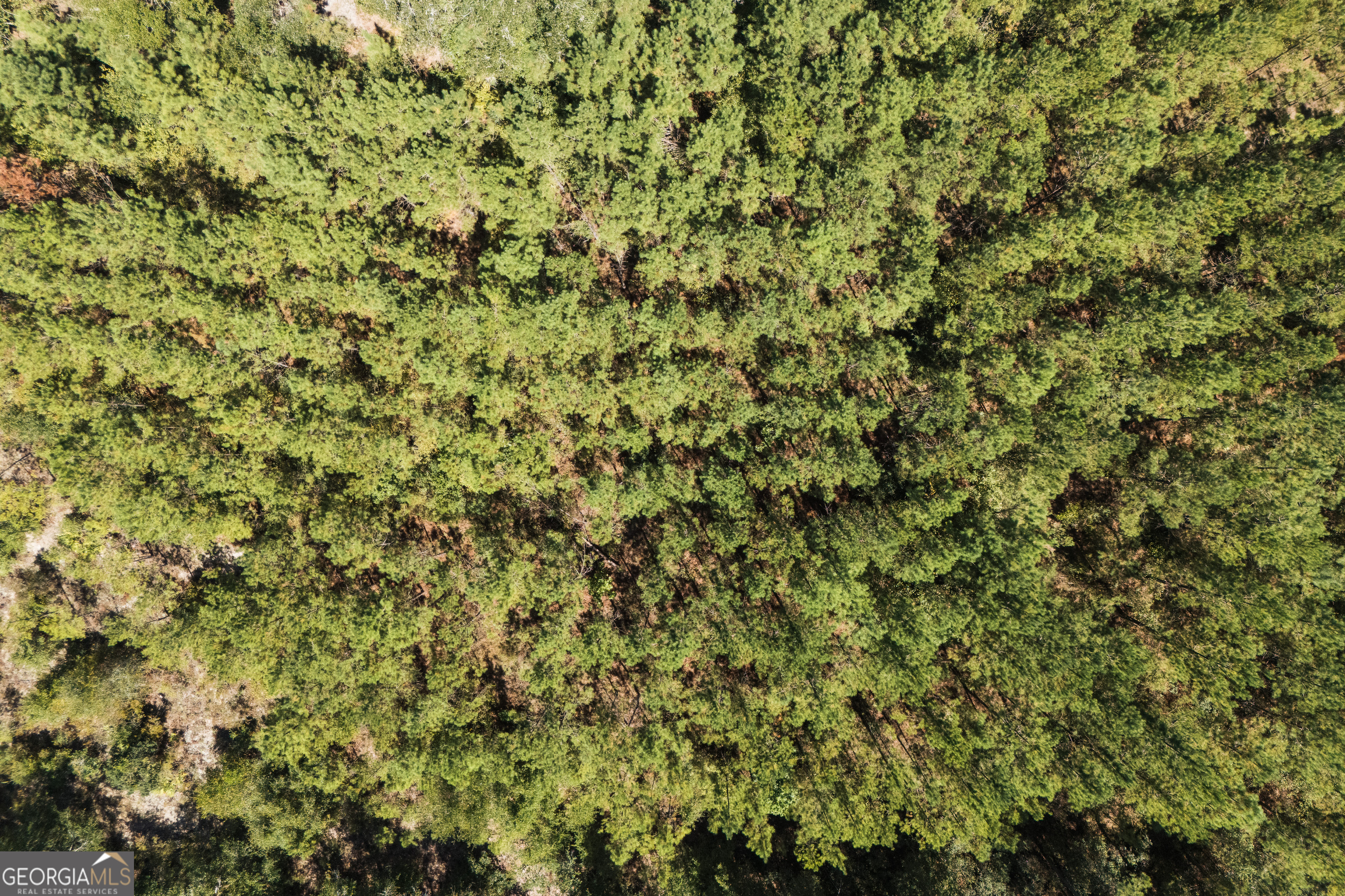 1603 Dl Durrence Road Reidsville, GA 30453 - Photo 43 of 78