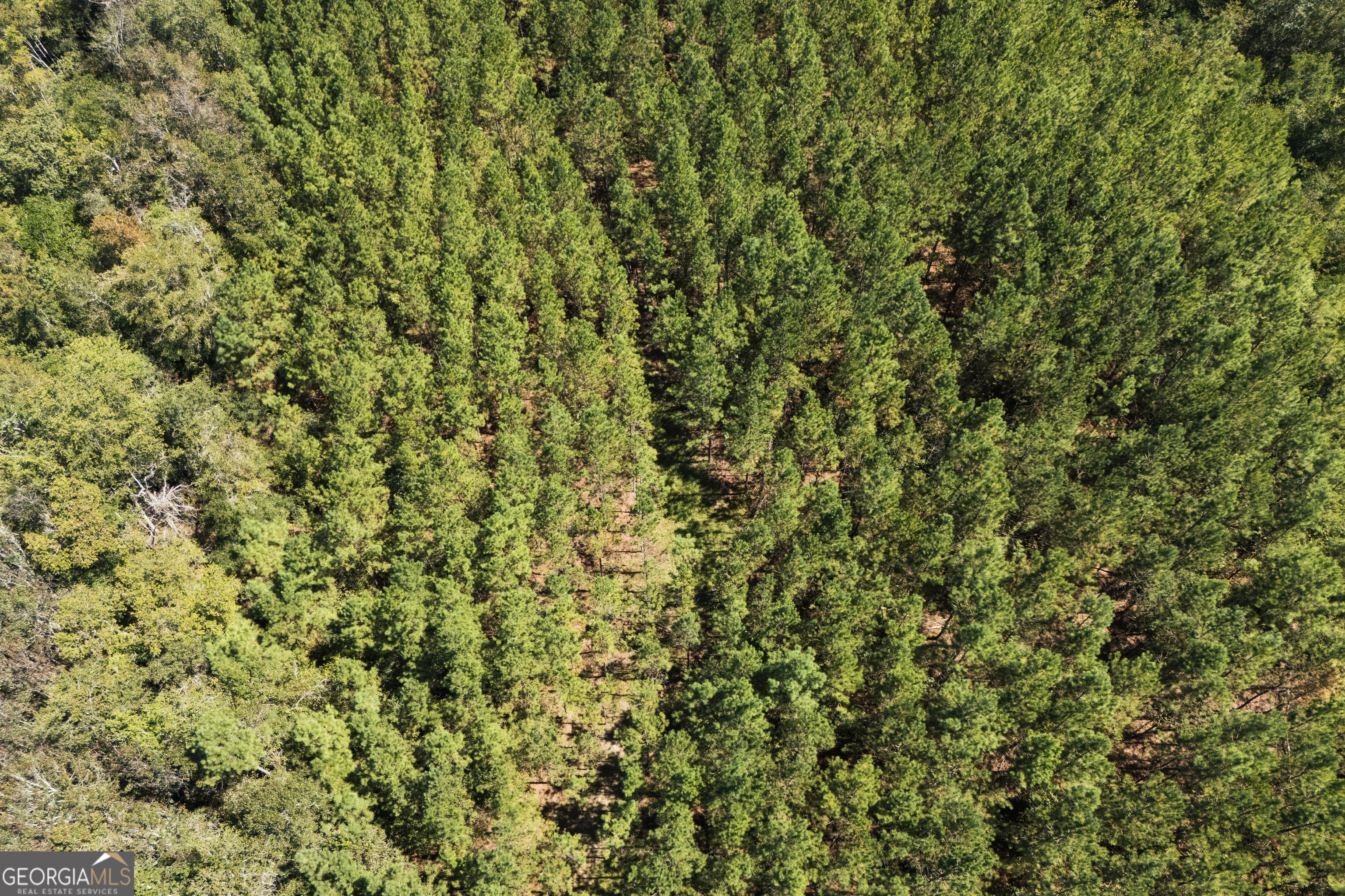 1603 Dl Durrence Road Reidsville, GA 30453 - Photo 44 of 78