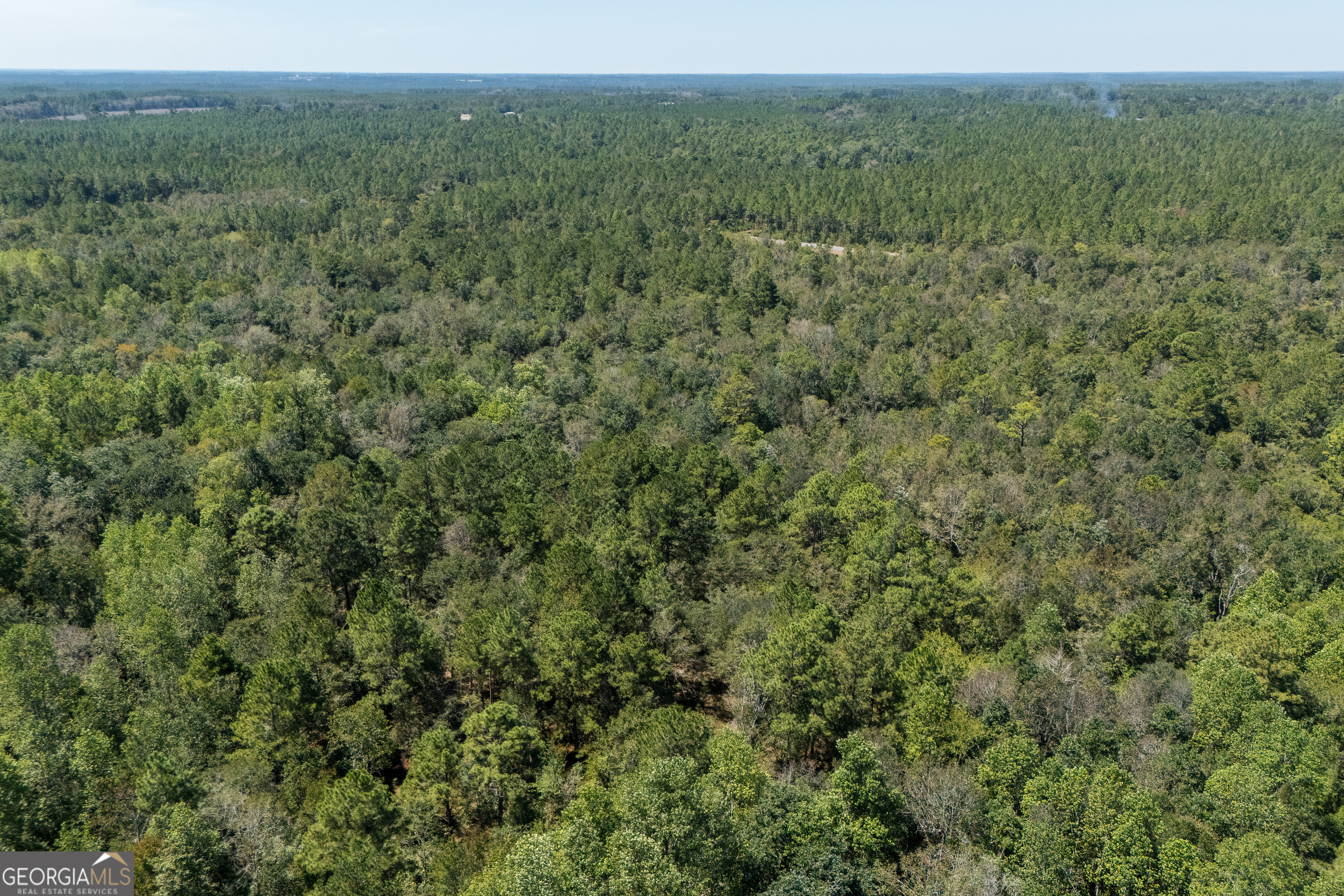 1603 Dl Durrence Road Reidsville, GA 30453 - Photo 46 of 78 a view of a forest with a street
