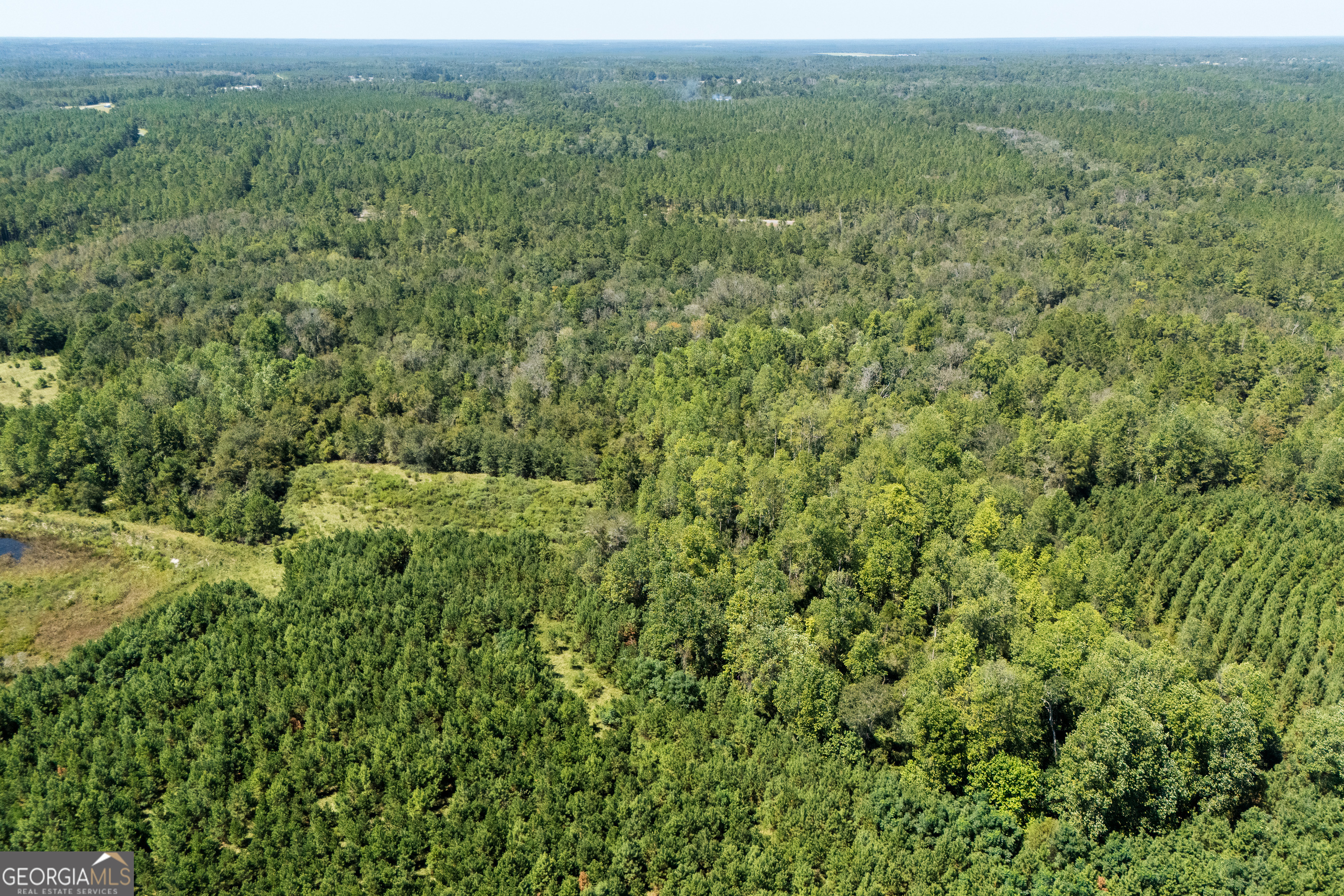 1603 Dl Durrence Road Reidsville, GA 30453 - Photo 47 of 78 a view of a green field with lots of bushes