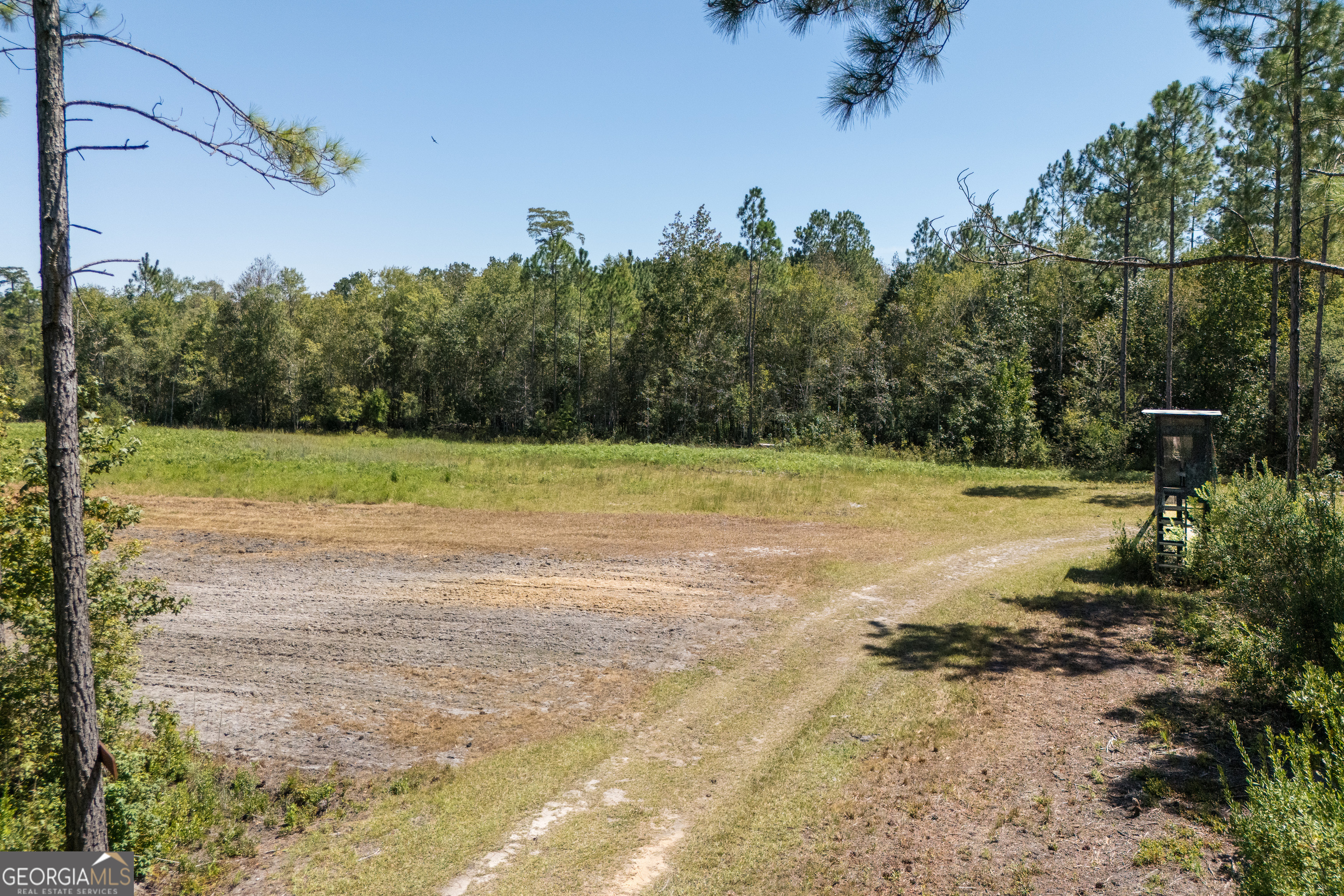 1603 Dl Durrence Road Reidsville, GA 30453 - Photo 49 of 78