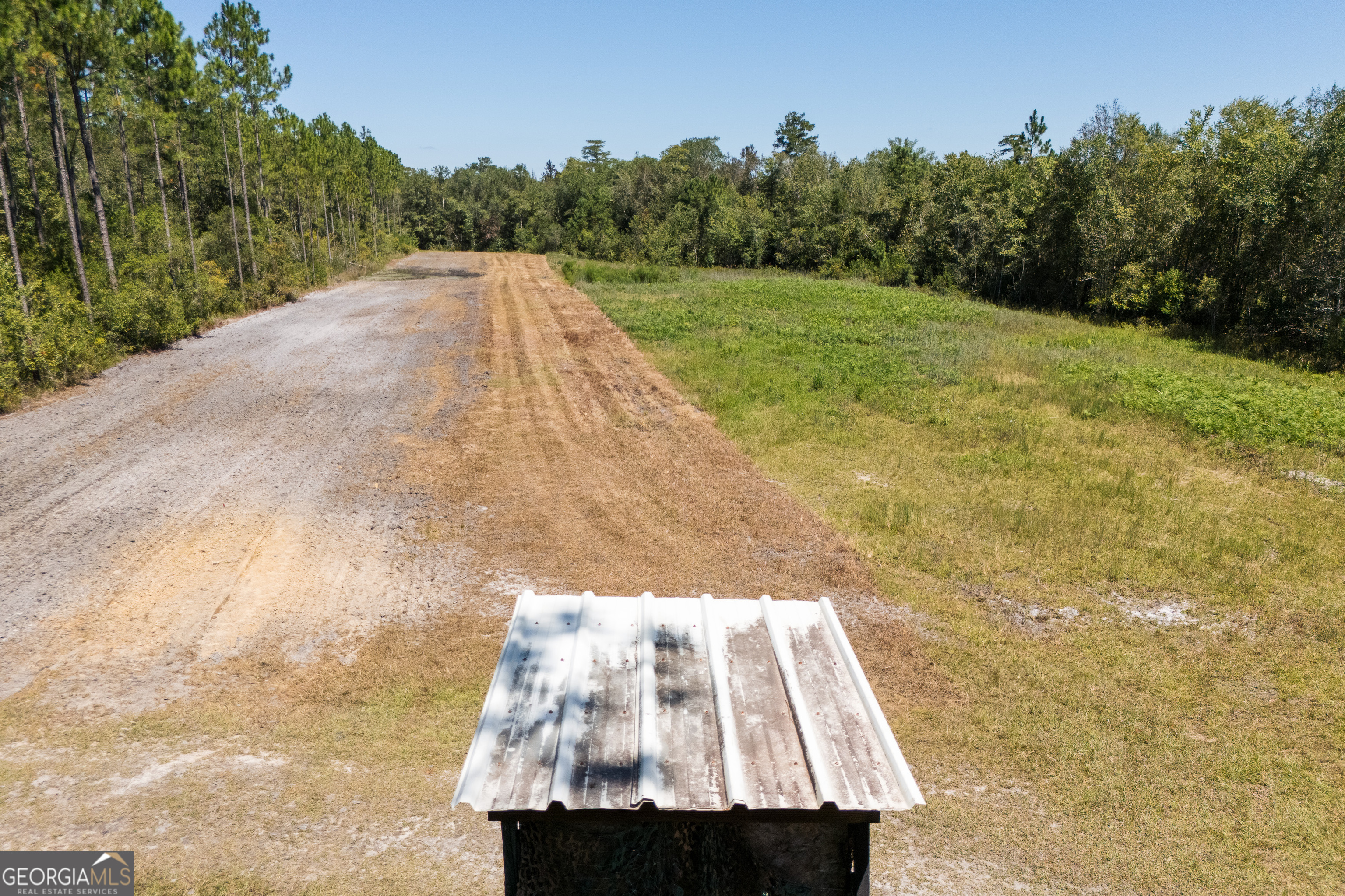 1603 Dl Durrence Road Reidsville, GA 30453 - Photo 51 of 78 a view of a yard in front of a house