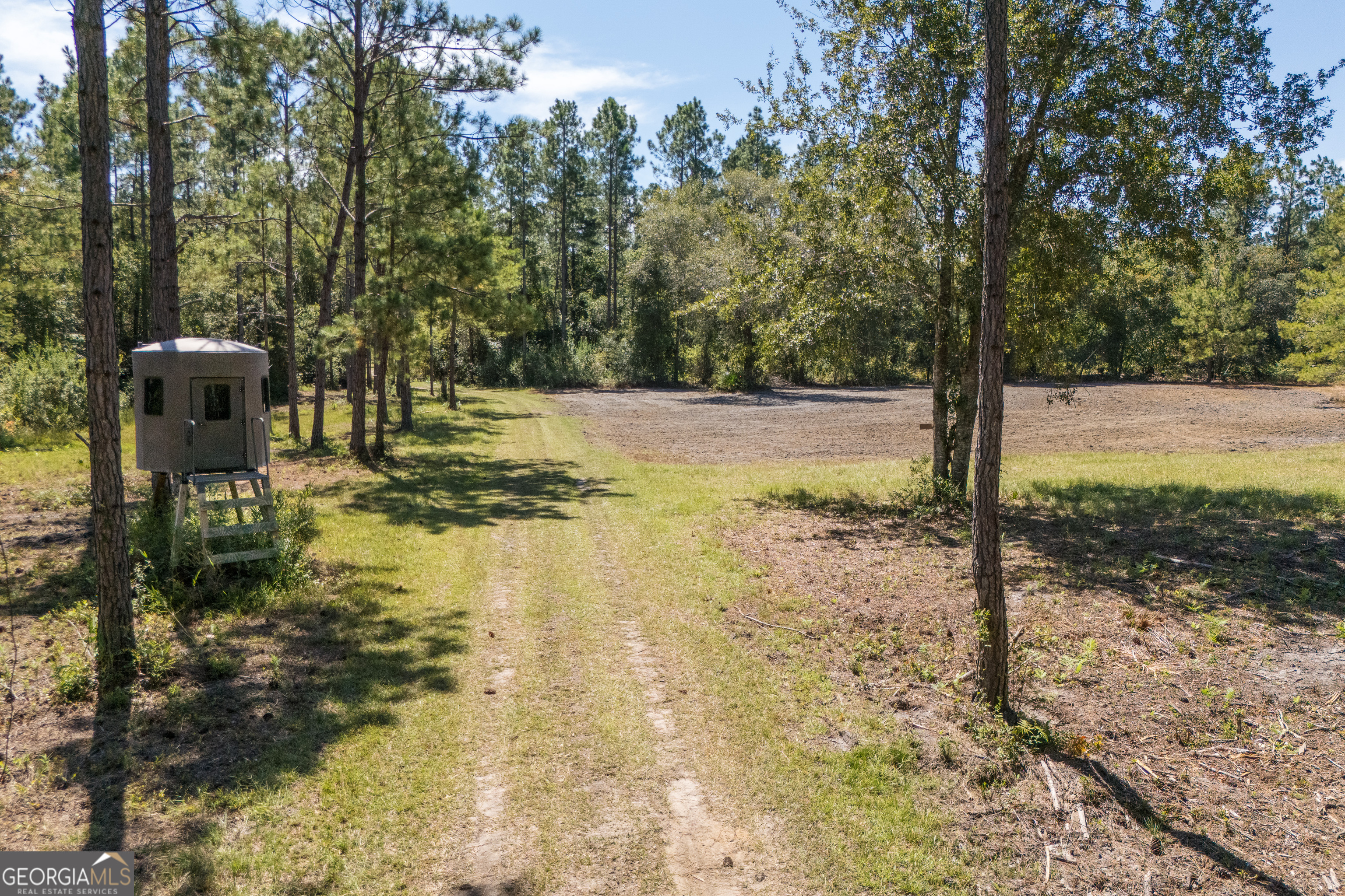 1603 Dl Durrence Road Reidsville, GA 30453 - Photo 53 of 78