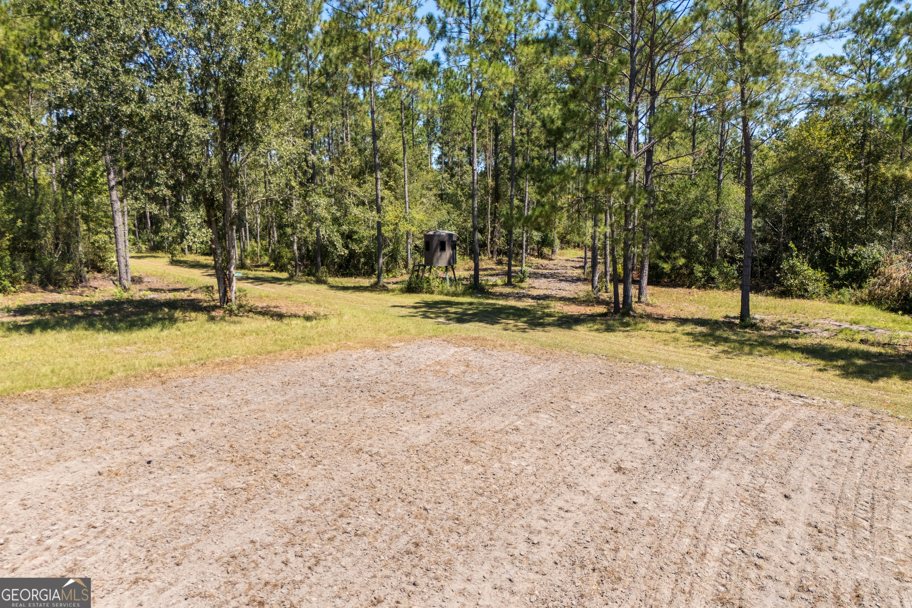 1603 Dl Durrence Road Reidsville, GA 30453 - Photo 54 of 78 a view of a yard with swimming pool