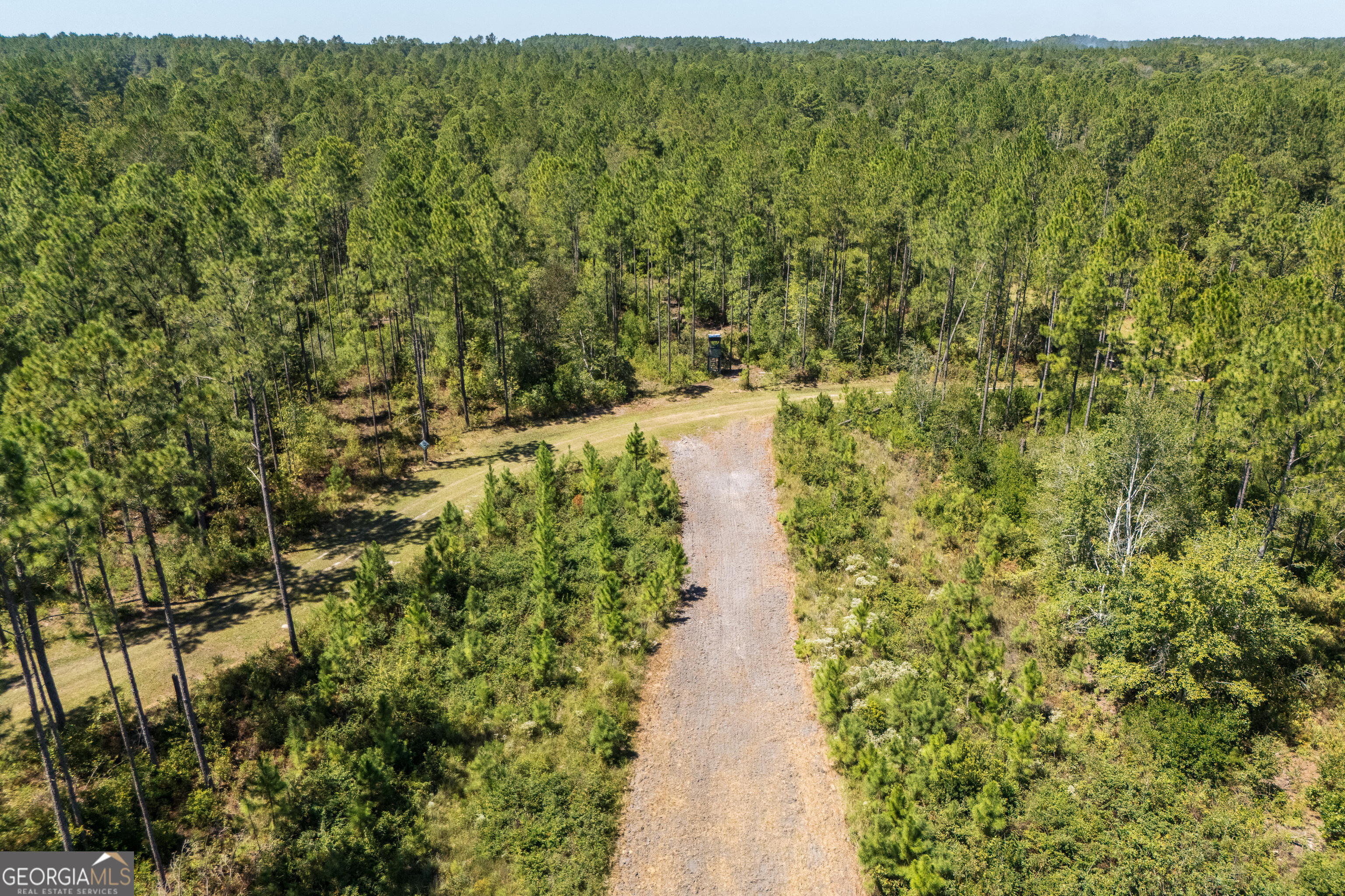 1603 Dl Durrence Road Reidsville, GA 30453 - Photo 58 of 78