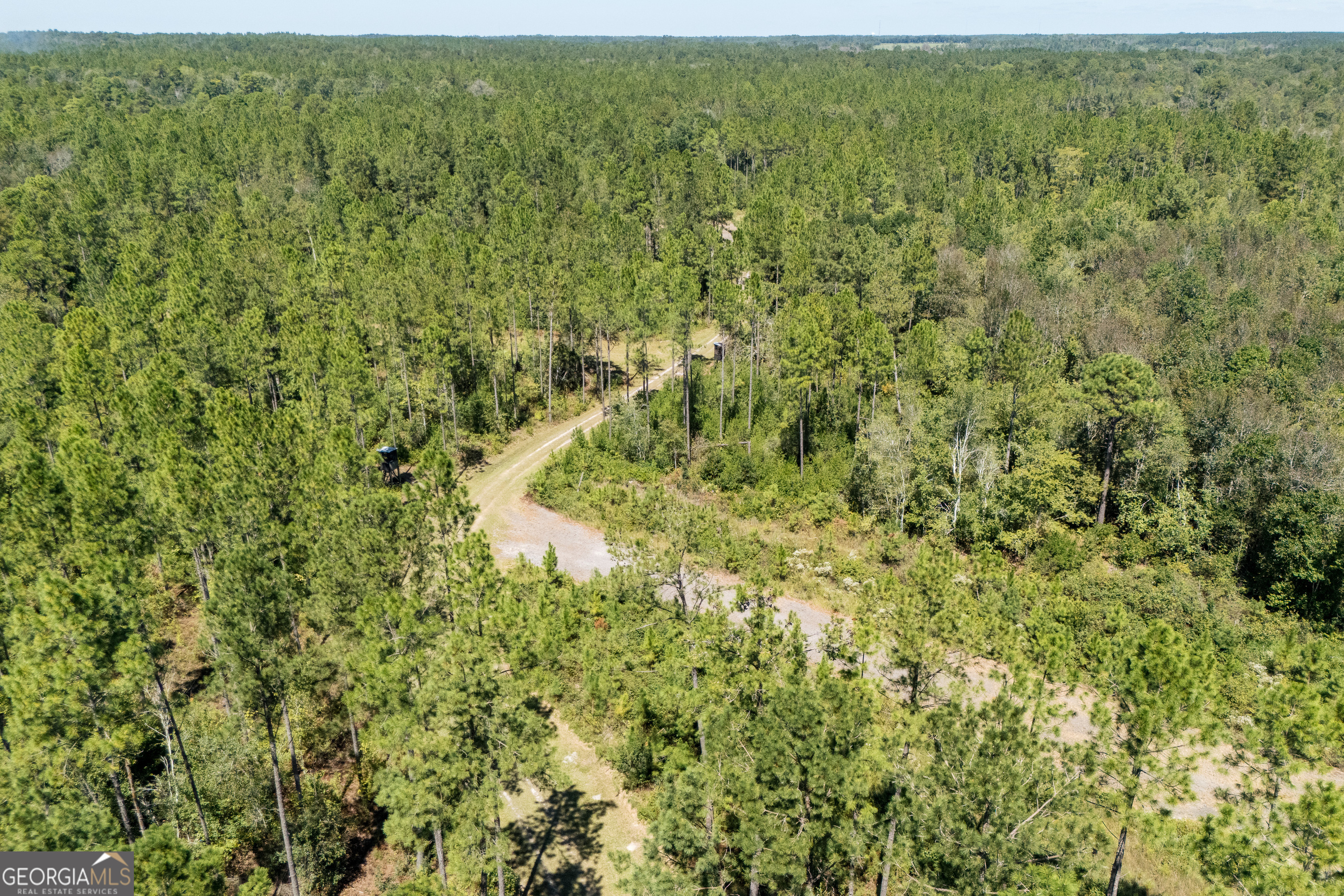 1603 Dl Durrence Road Reidsville, GA 30453 - Photo 59 of 78 a view of a big yard with lots of bushes