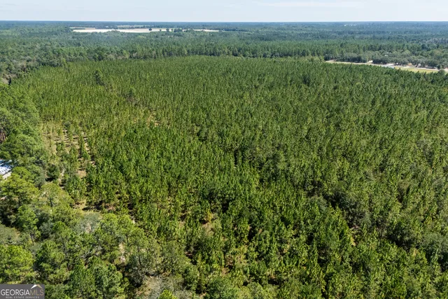 $970,000 | 1603 Dl Durrence Road, Reidsville, GA 30453