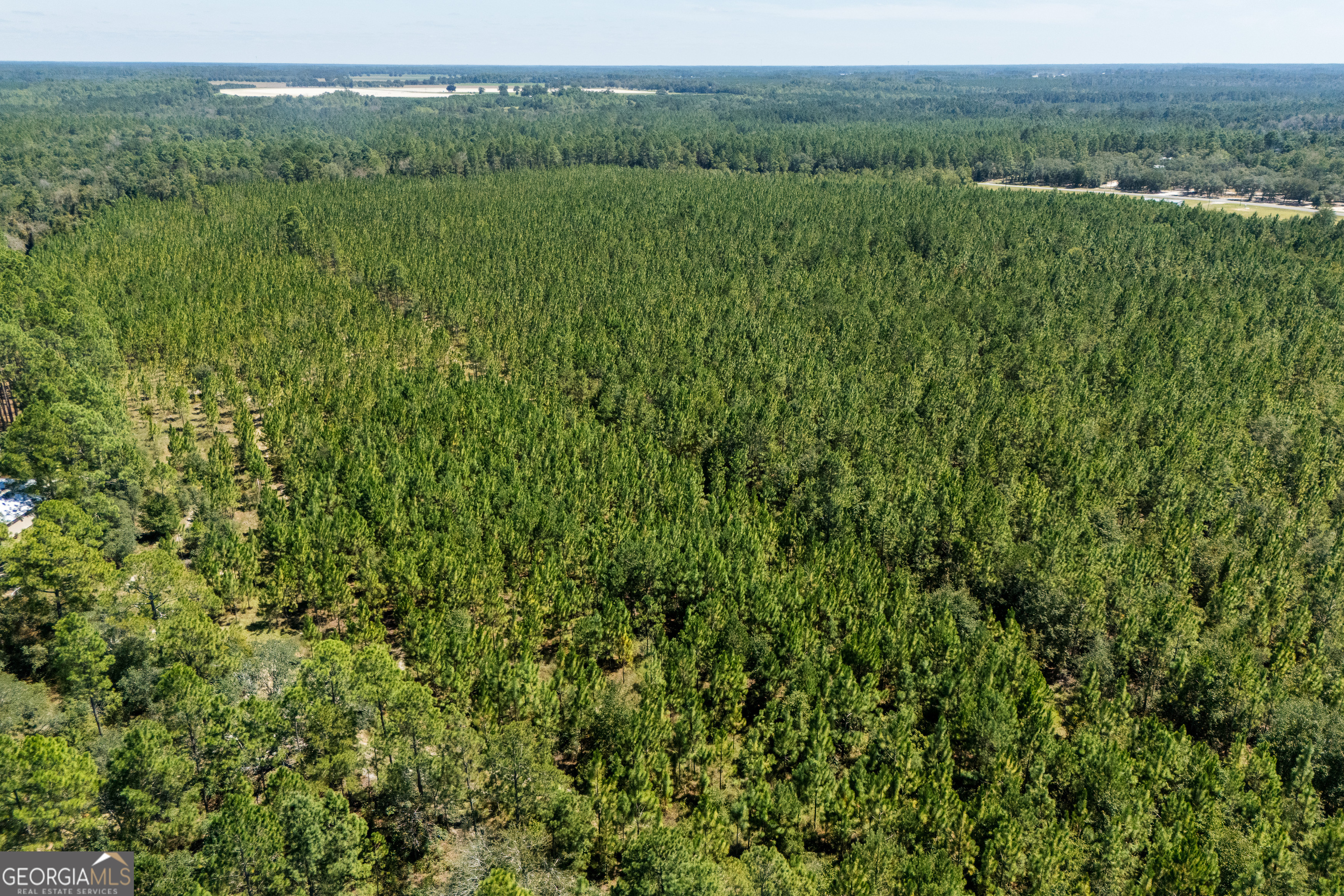 1603 Dl Durrence Road Reidsville, GA 30453 - Photo 60 of 78 a view of a lush green forest with trees and some houses