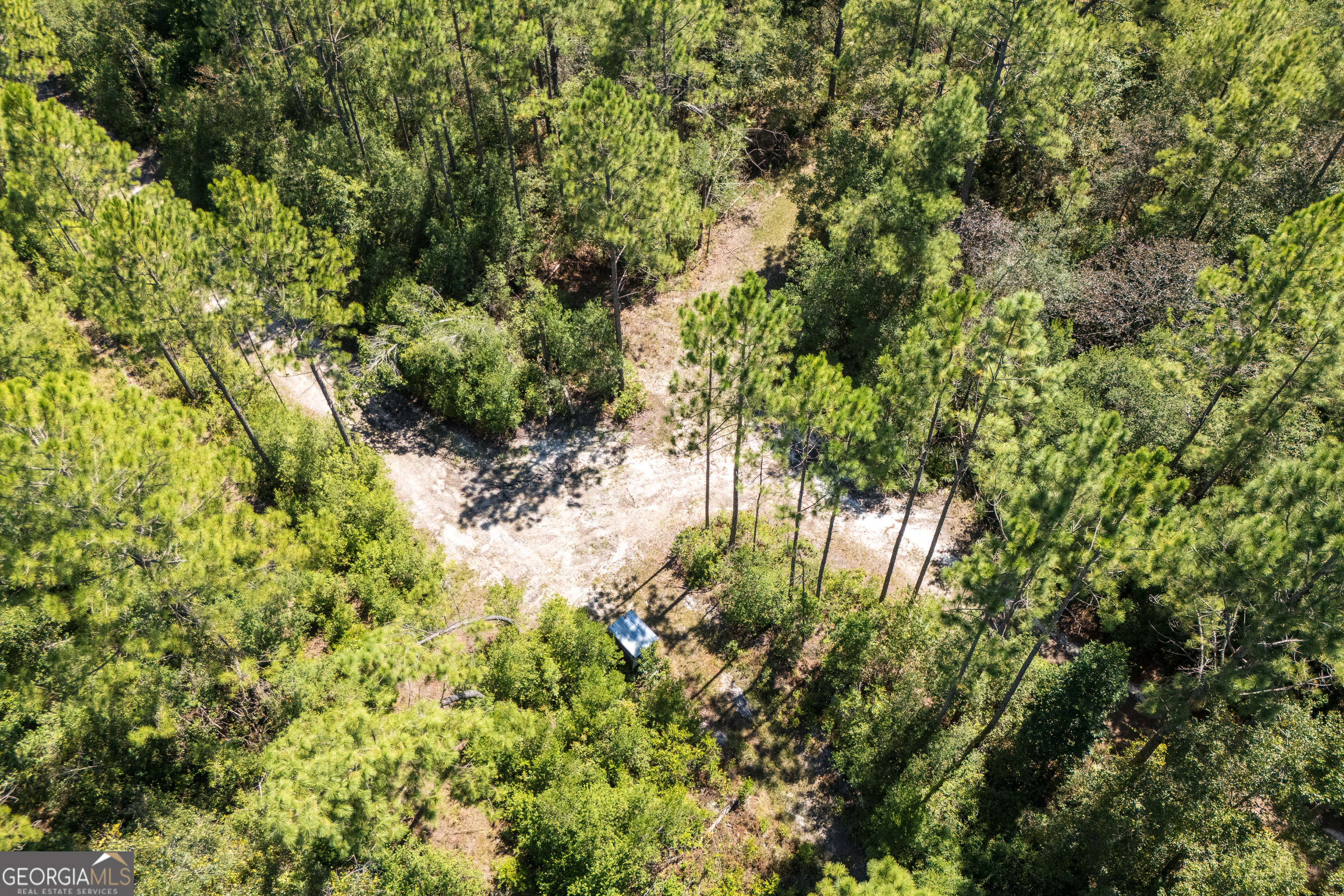 1603 Dl Durrence Road Reidsville, GA 30453 - Photo 65 of 78