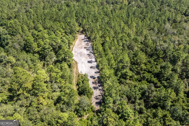 $970,000 | 1603 Dl Durrence Road, Reidsville, GA 30453