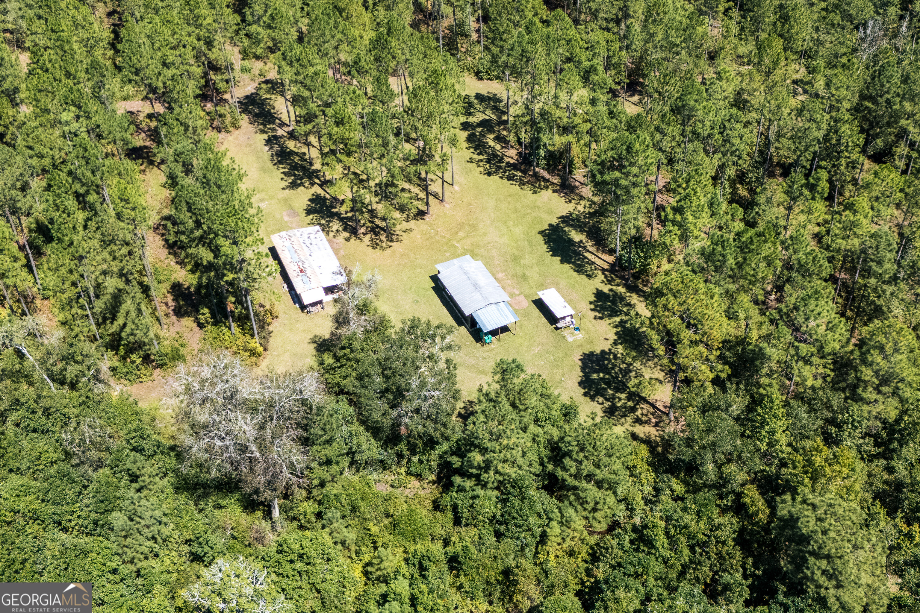 1603 Dl Durrence Road Reidsville, GA 30453 - Photo 67 of 78 a view of a tree in a yard