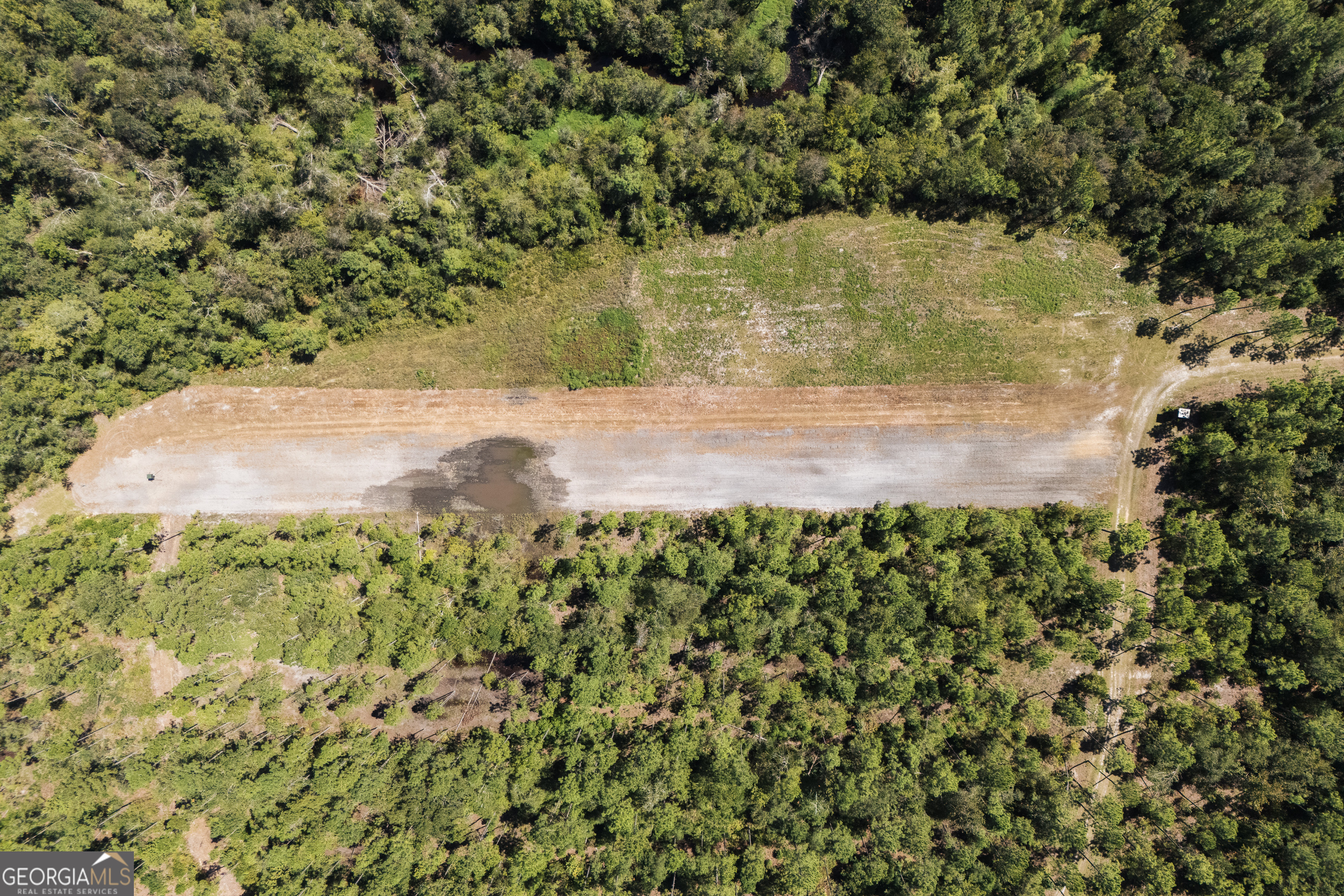 1603 Dl Durrence Road Reidsville, GA 30453 - Photo 68 of 78 a view of a yard with a tree