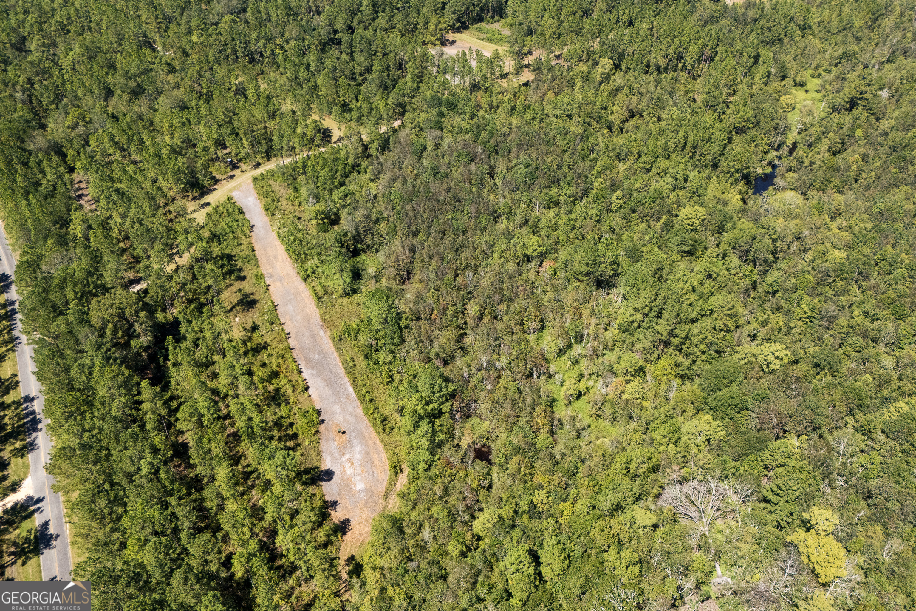 1603 Dl Durrence Road Reidsville, GA 30453 - Photo 70 of 78 a view of a yard with an outdoor space