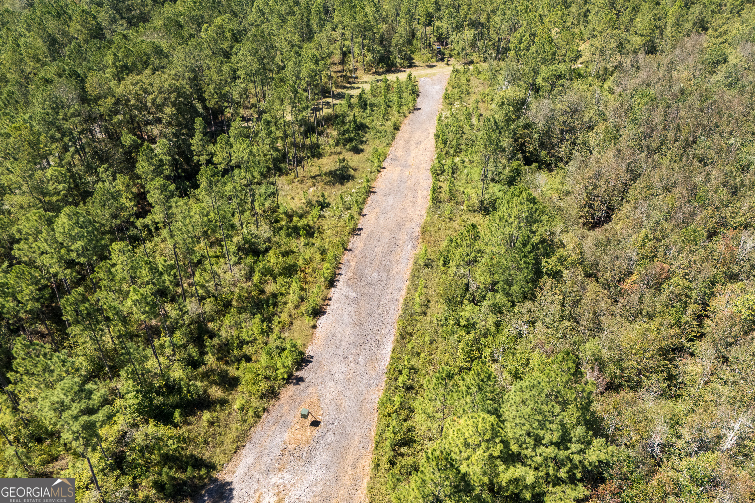 1603 Dl Durrence Road Reidsville, GA 30453 - Photo 72 of 78