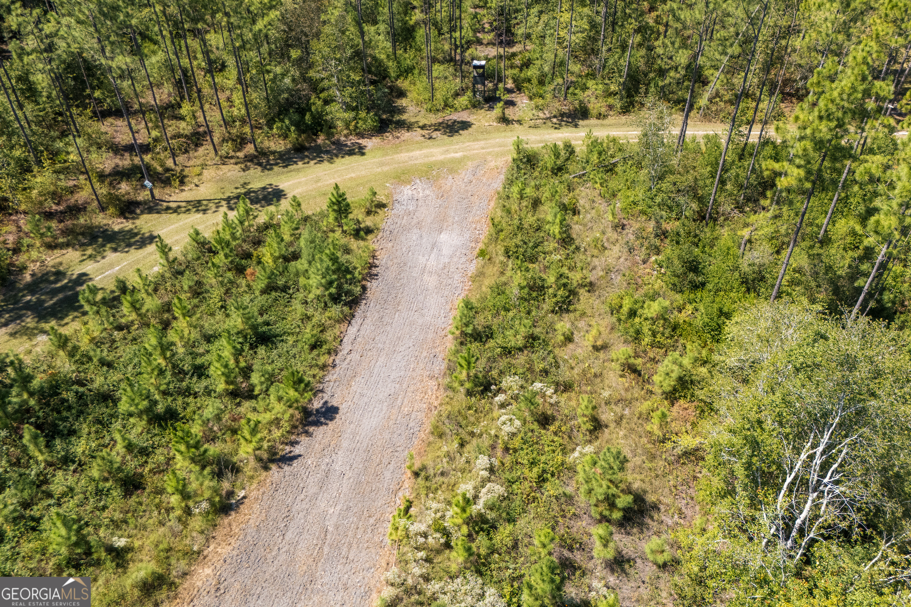1603 Dl Durrence Road Reidsville, GA 30453 - Photo 73 of 78 a view of a lake with a garden