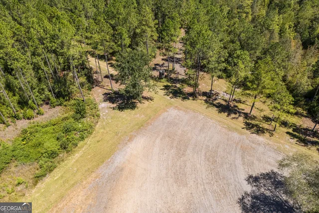 $970,000 | 1603 Dl Durrence Road, Reidsville, GA 30453