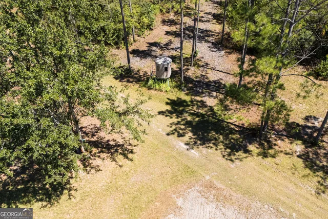 $970,000 | 1603 Dl Durrence Road, Reidsville, GA 30453