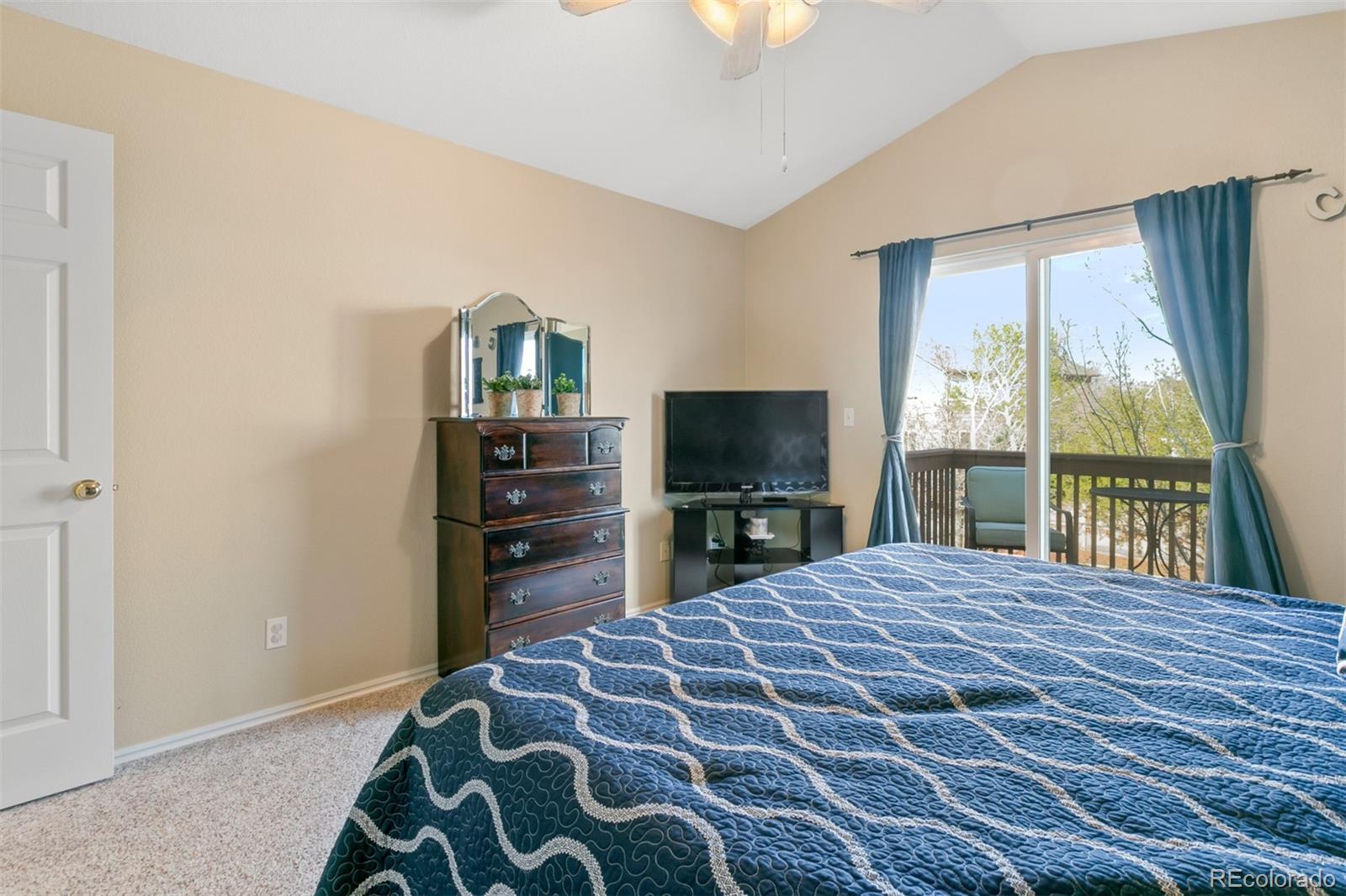 9352 Wolfe Street Highlands Ranch, CO 80129 - Photo 17 of 32 Gallery Image 17