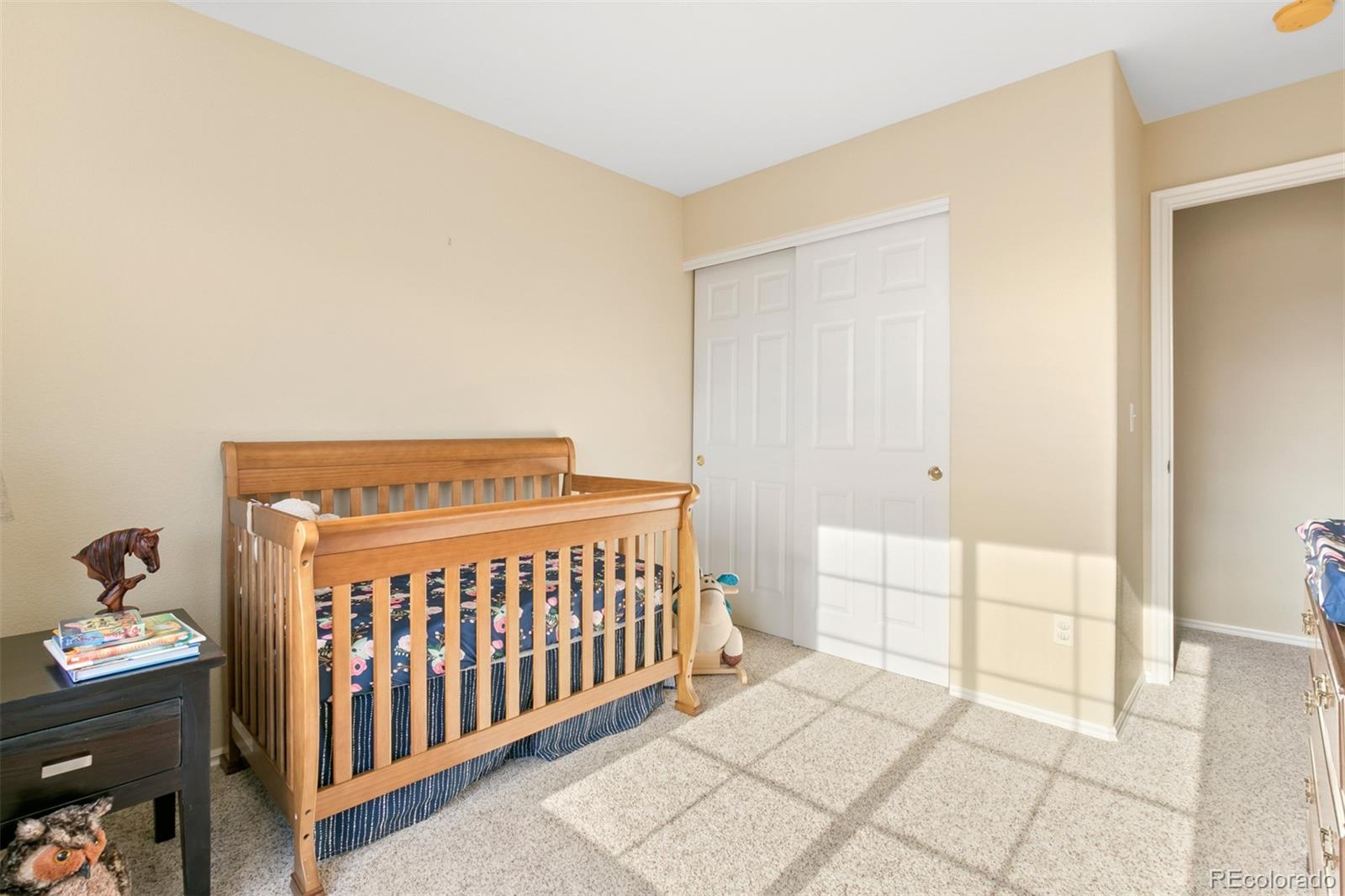 9352 Wolfe Street Highlands Ranch, CO 80129 - Photo 23 of 32 Gallery Image 23