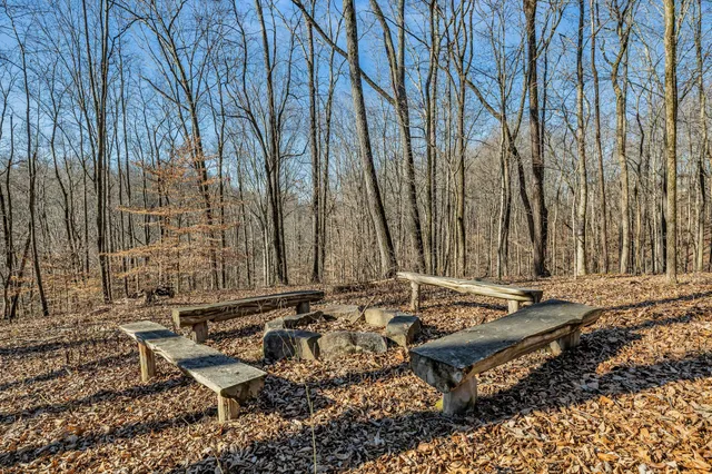 a view of outdoor space with trees