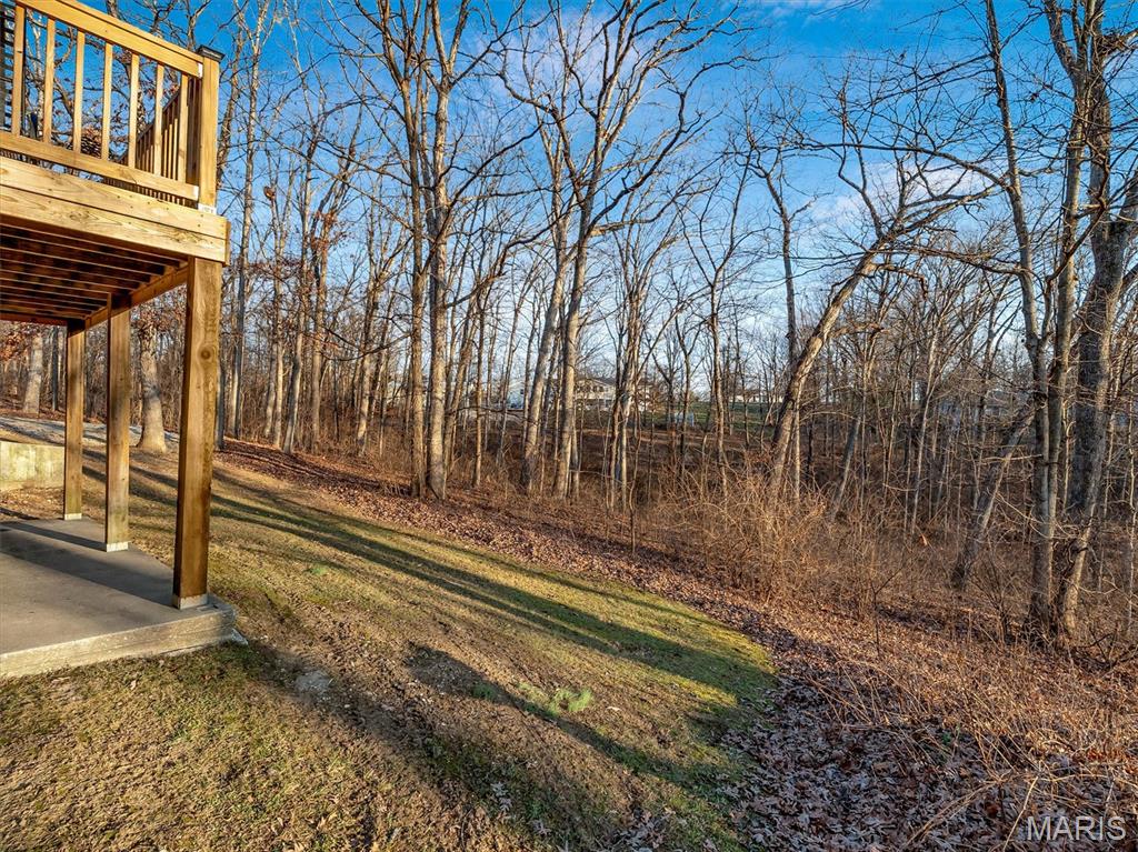 267 Timber Ridge Drive Troy, MO 63379 - Photo 36 of 44