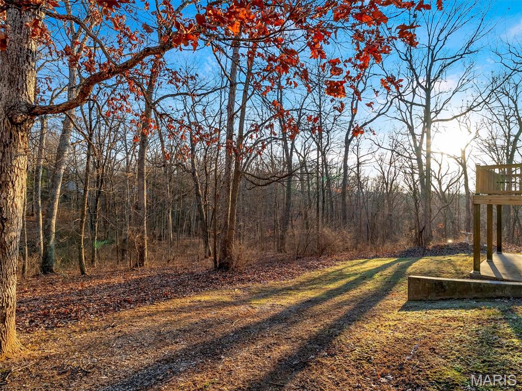 267 Timber Ridge Drive Troy, MO 63379 - Photo 38 of 44