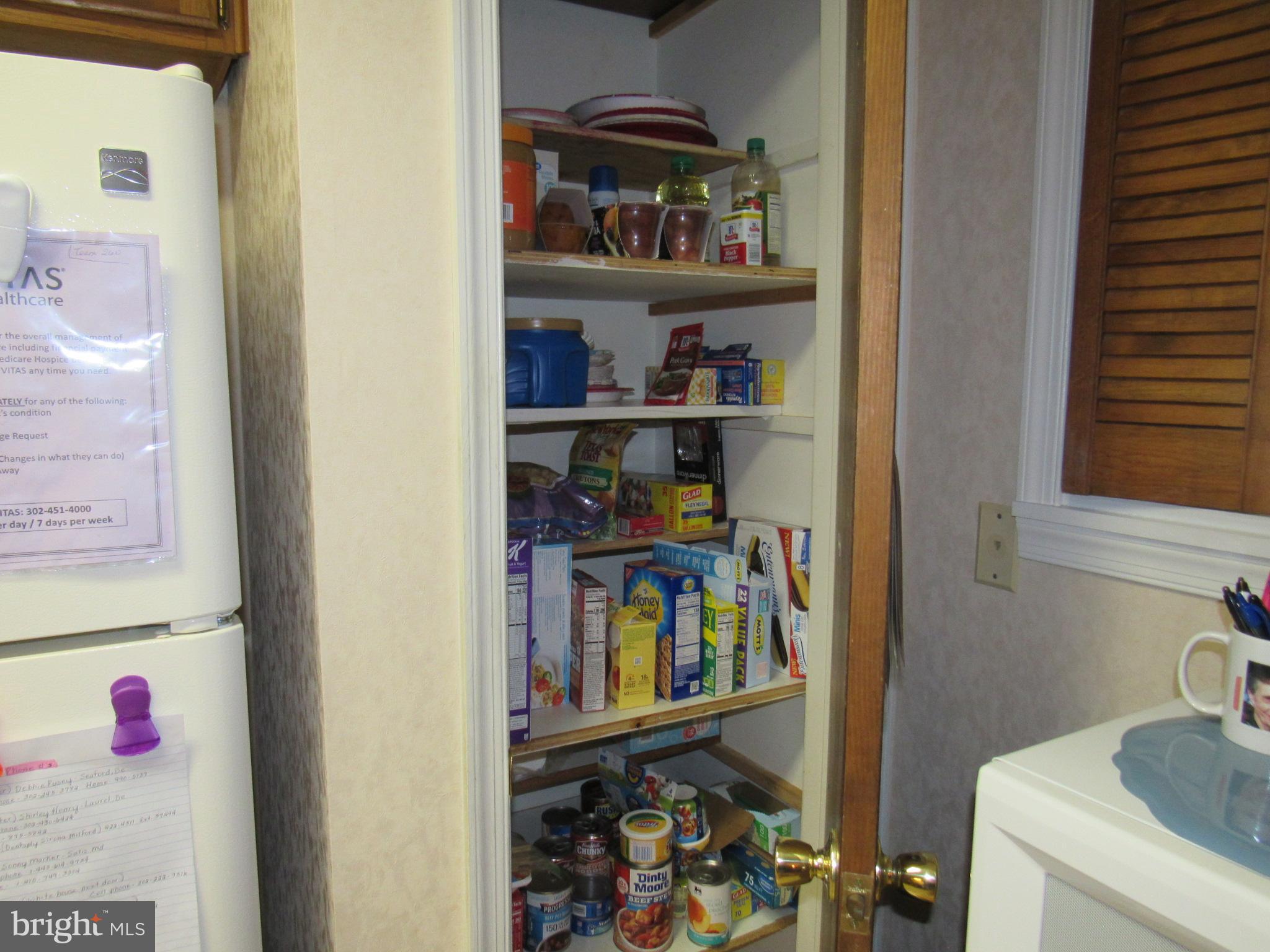22173 Atlanta Road Seaford, DE 19973 - Photo 14 of 58 Large Pantry for Storage