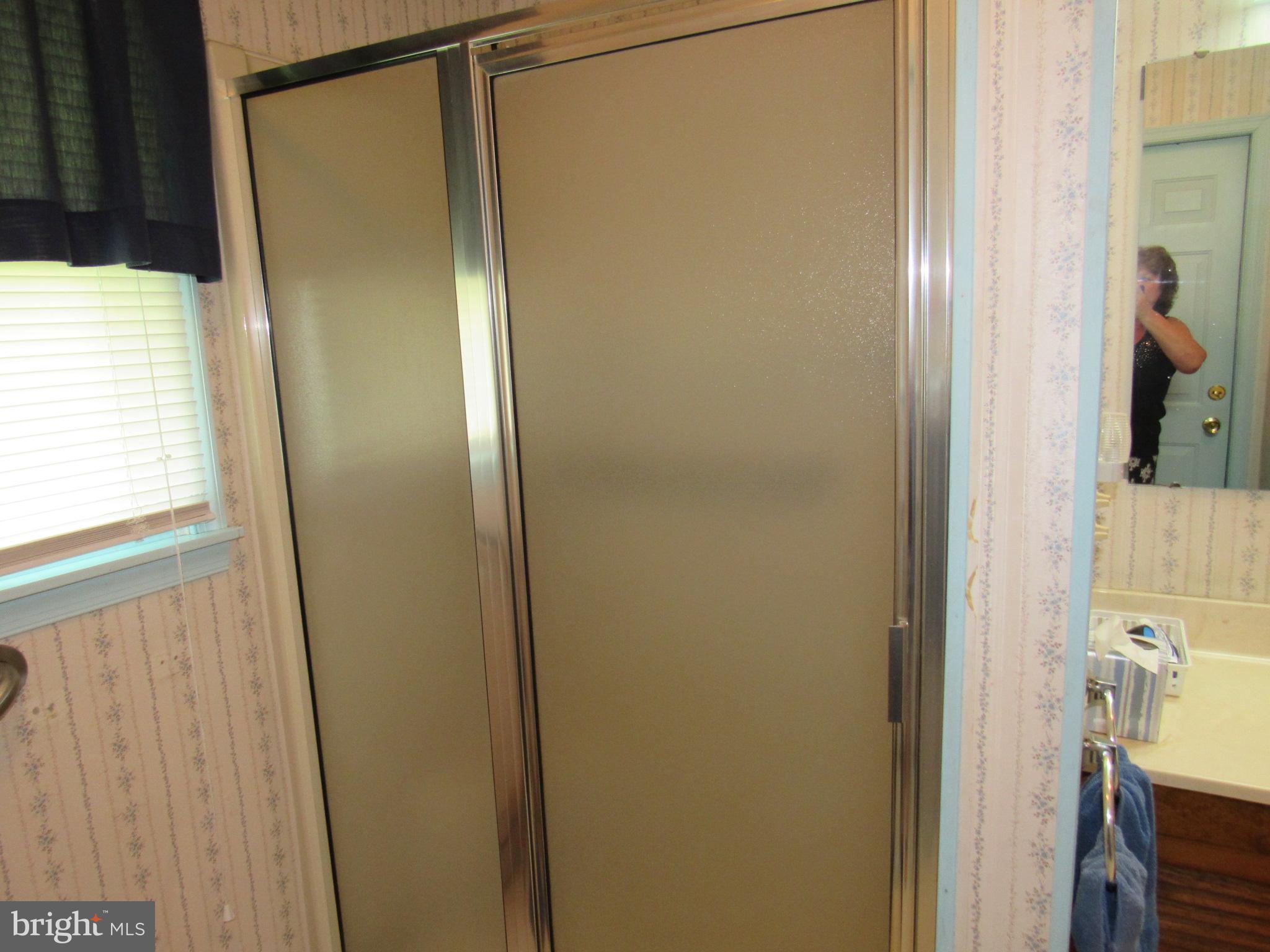 22173 Atlanta Road Seaford, DE 19973 - Photo 34 of 58 Shower Stall