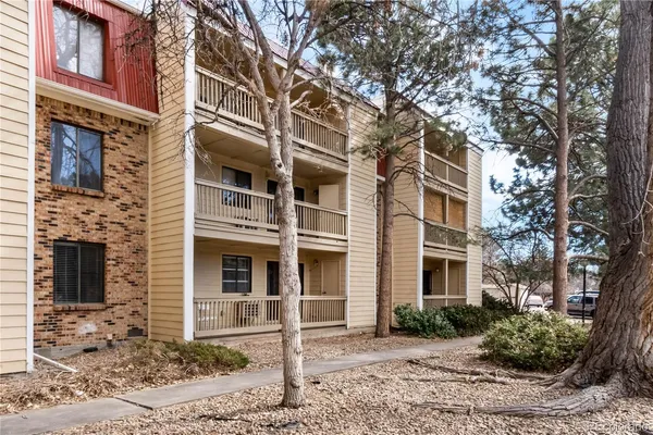 a view of road with large trees