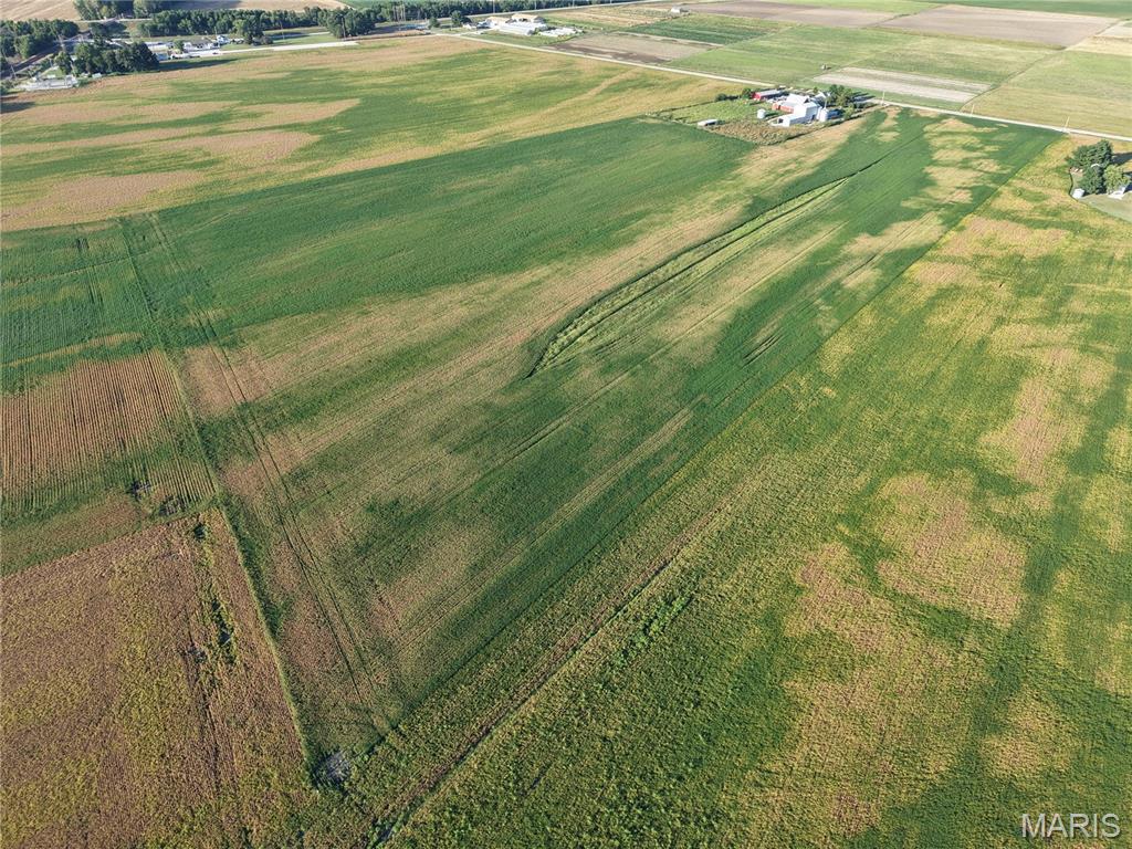 0 Bluff Road Valmeyer, IL 62295 - Photo 7 of 16 Gallery Image 7