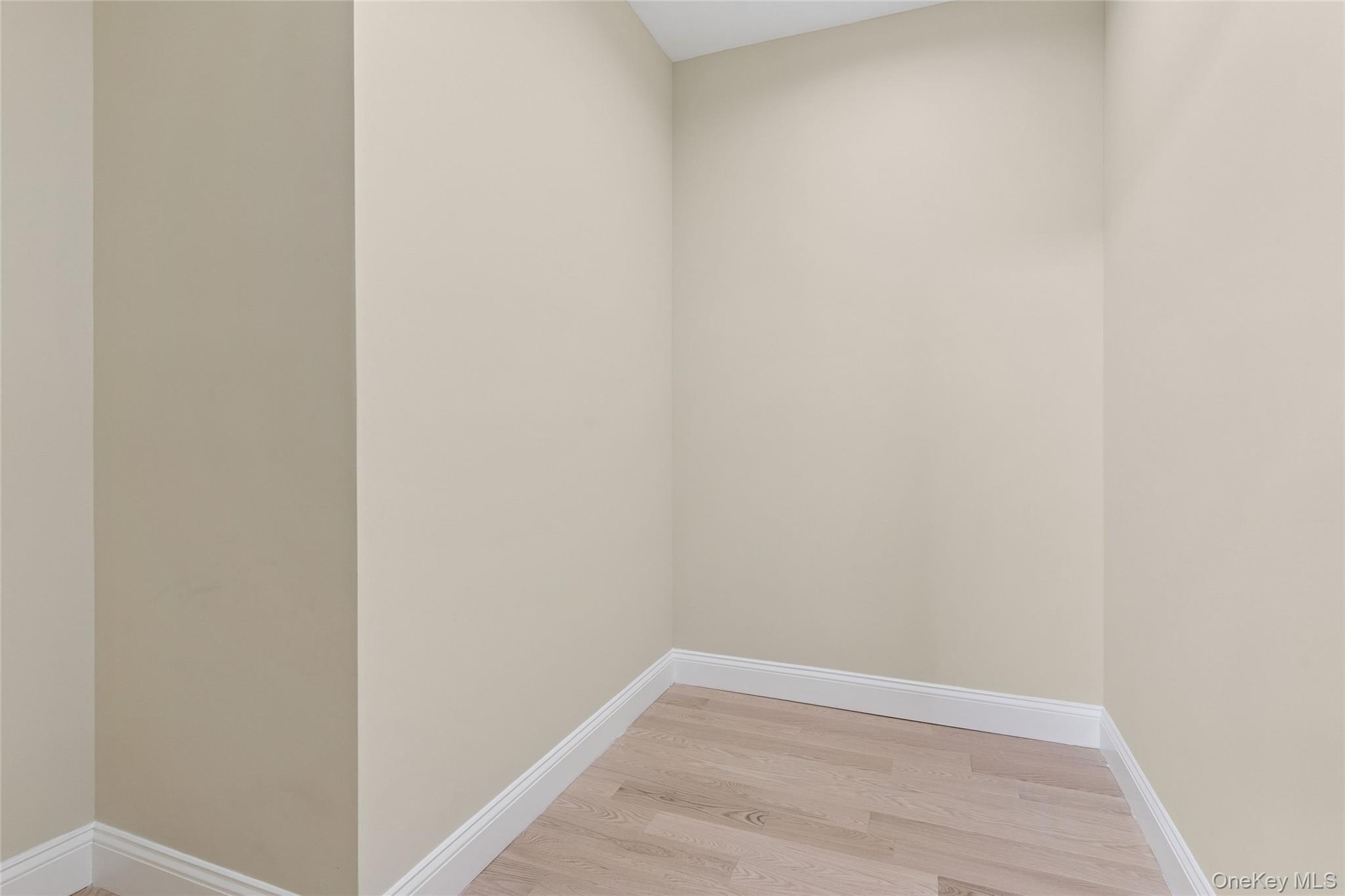 81-25 265th Street Queens, NY 11004 - Photo 32 of 44 Walk in Closet