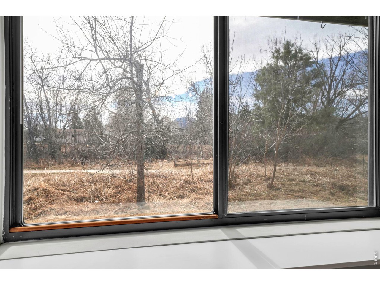4268 Corriente Place Boulder, CO 80301 - Photo 7 of 35 a view of a room with a tree in it