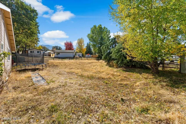 a view of a yard with some trees
