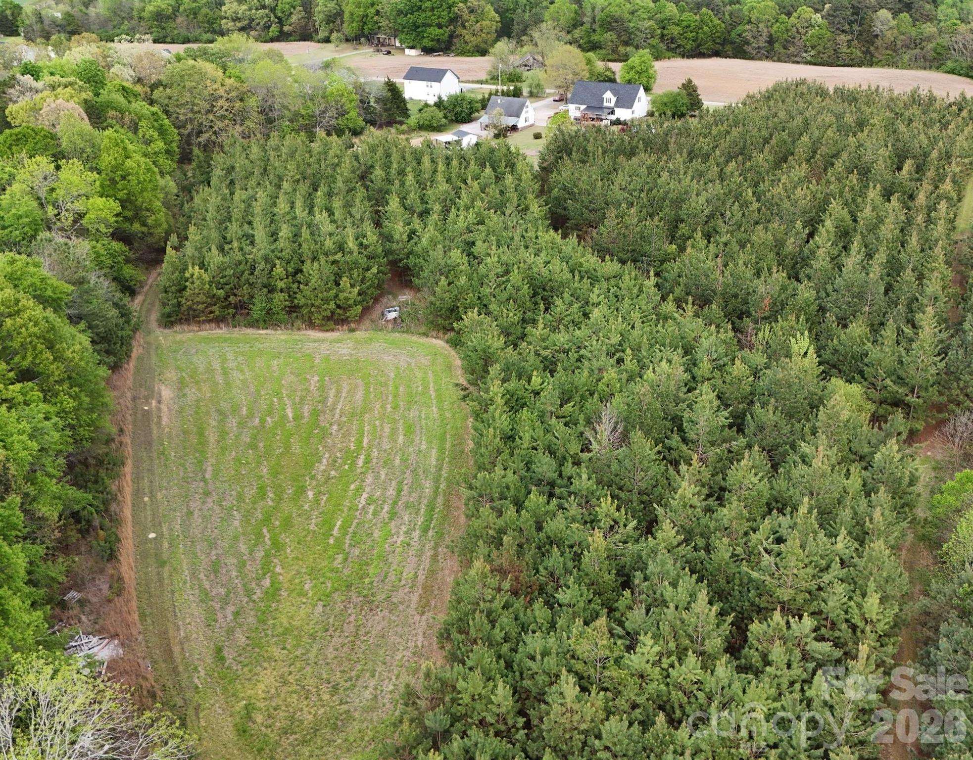 176 Griffin Road Pageland, SC 29728 - Photo 3 of 48