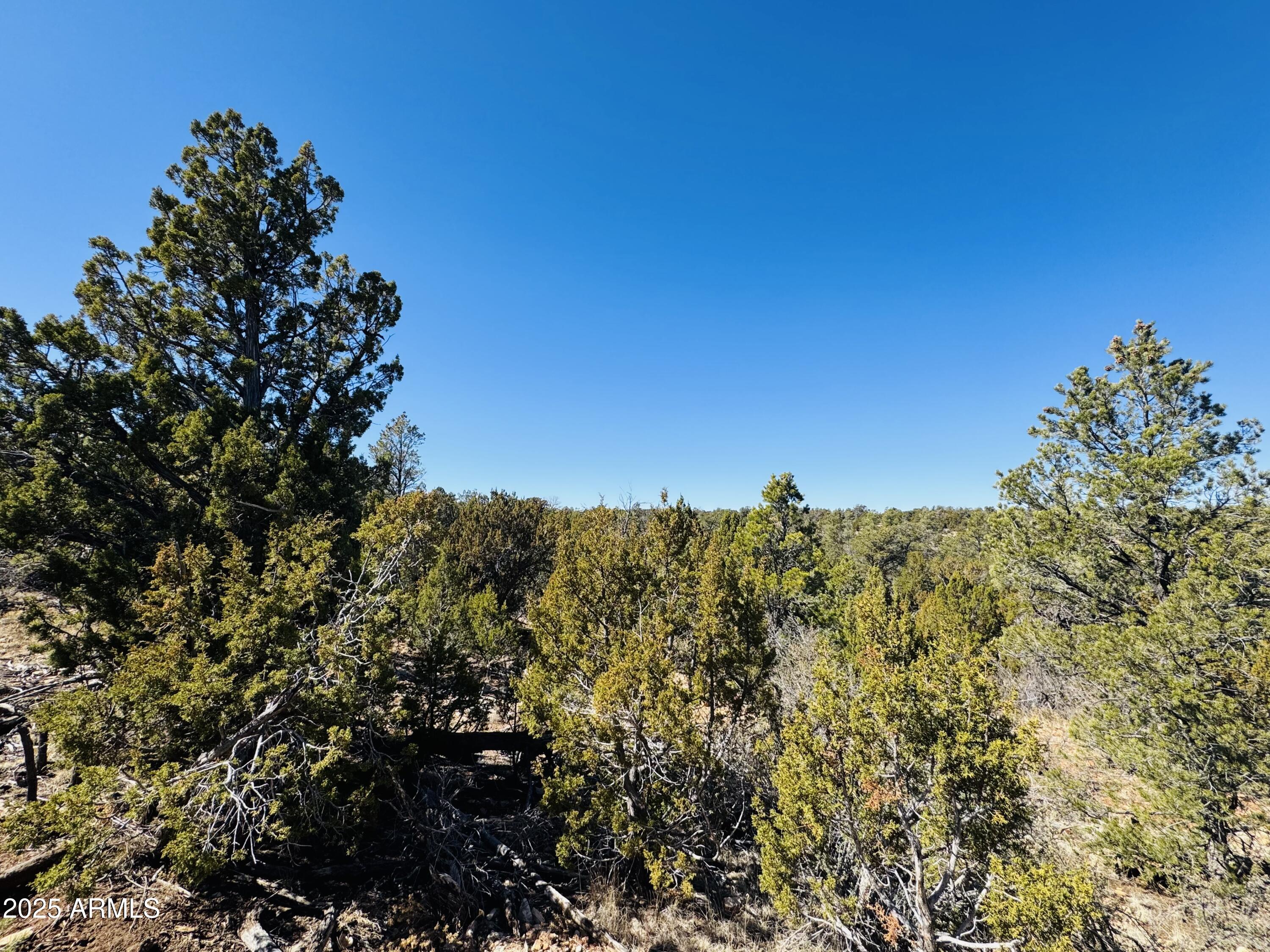 4108 Sunset Ridge Loop, Unit 135 Happy Jack, AZ 86024 - Photo 1 of 19 a view of a bunch of trees and bushes