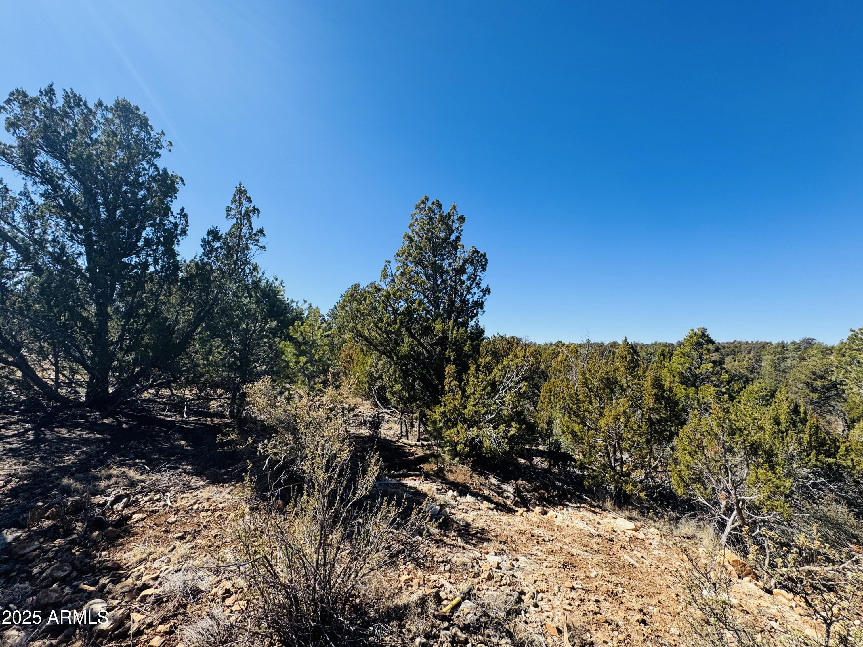 4108 Sunset Ridge Loop, Unit 135 Happy Jack, AZ 86024 - Photo 11 of 19 a view of a tree with a yard