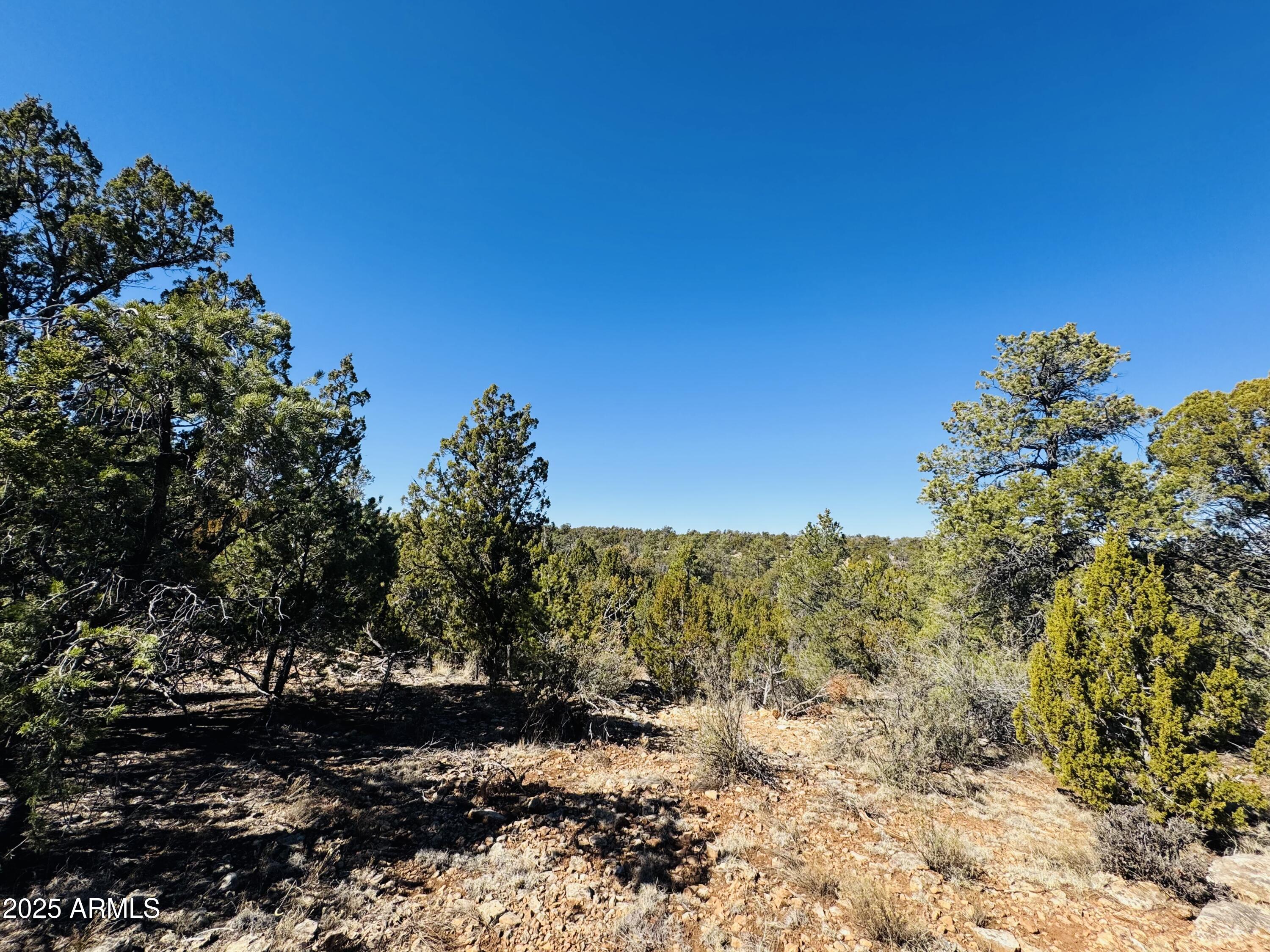 4108 Sunset Ridge Loop, Unit 135 Happy Jack, AZ 86024 - Photo 12 of 19 a view of a yard with a tree
