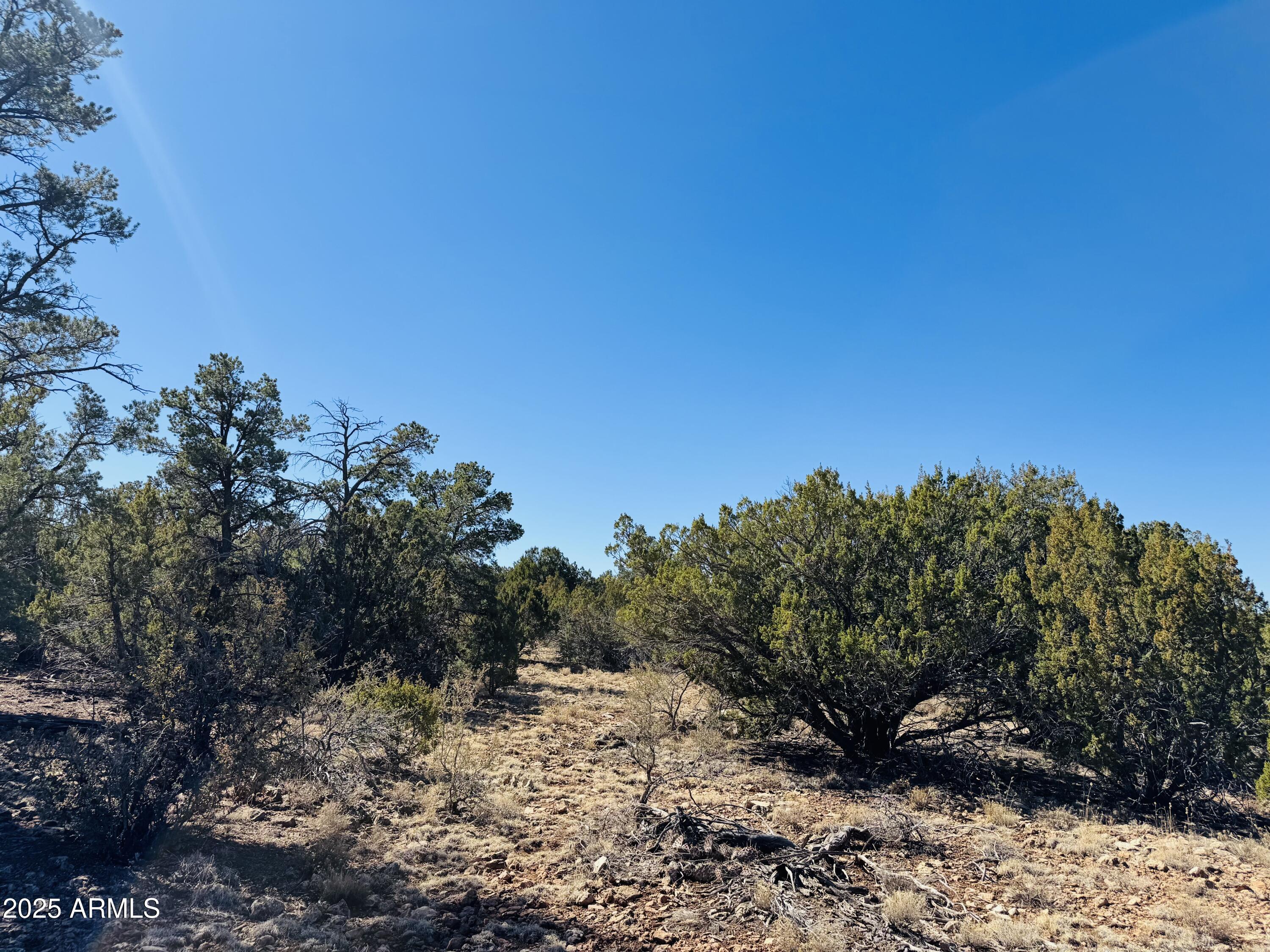 4108 Sunset Ridge Loop, Unit 135 Happy Jack, AZ 86024 - Photo 14 of 19 a view of a tree with a yard