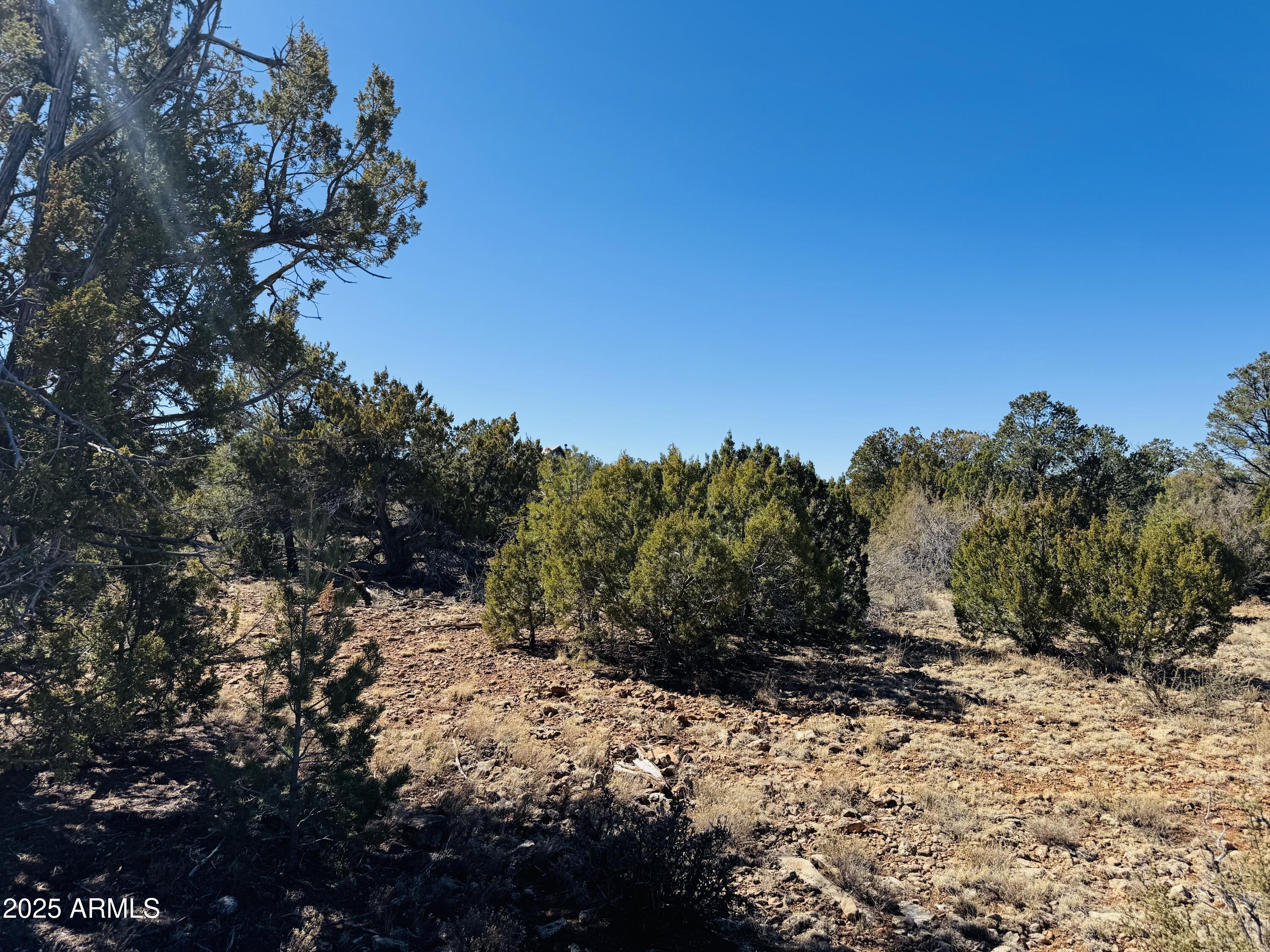 4108 Sunset Ridge Loop, Unit 135 Happy Jack, AZ 86024 - Photo 15 of 19 a view of a yard with a tree